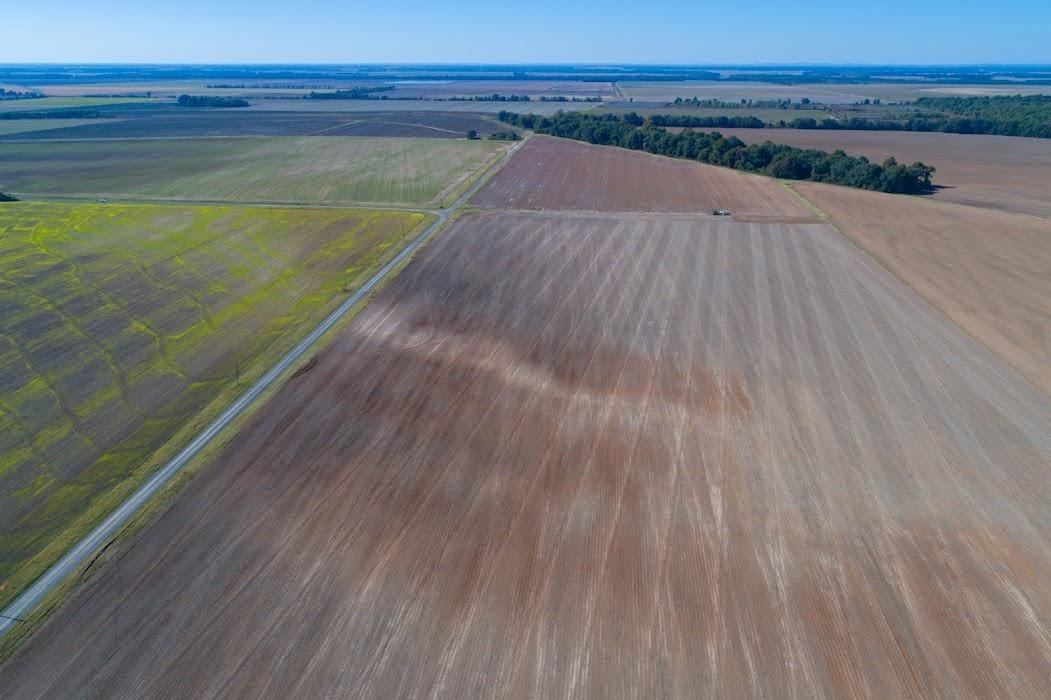 Lonoke - Farm