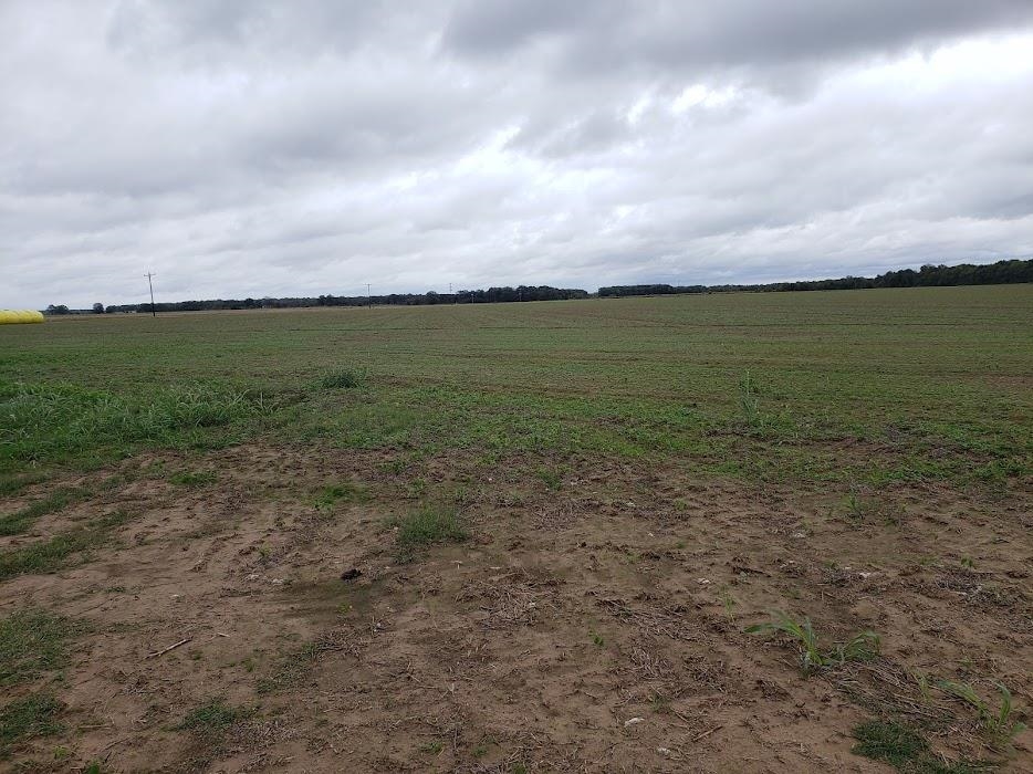 Lonoke - Farm