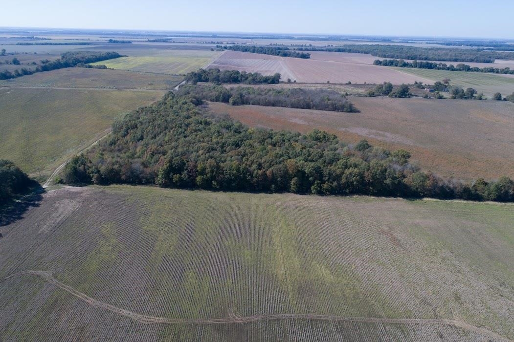 Lonoke - Farm