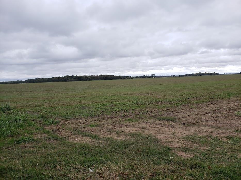 Lonoke - Farm