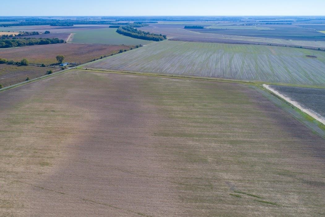 Lonoke - Farm