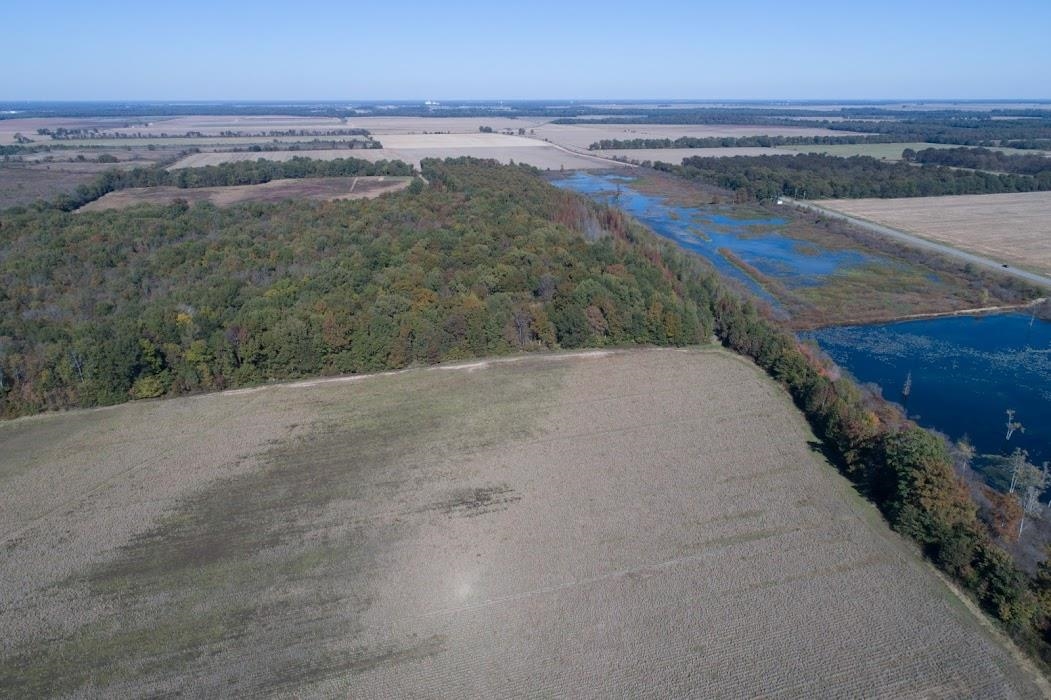 Lonoke - Farm