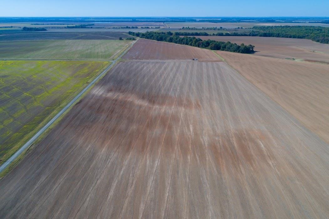 Lonoke - Farm