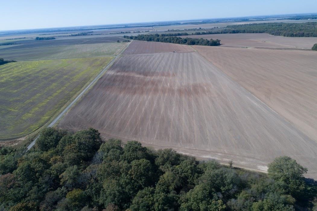 Lonoke - Farm