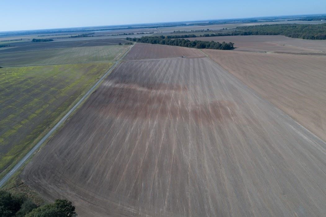 Lonoke - Farm