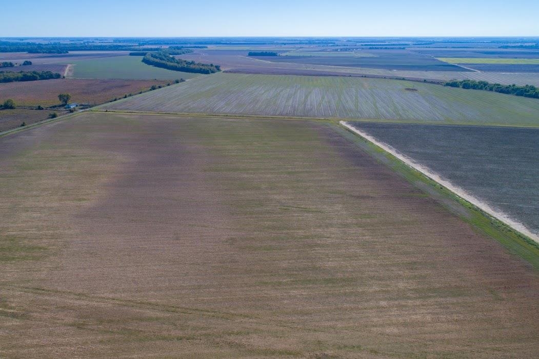 Lonoke - Farm