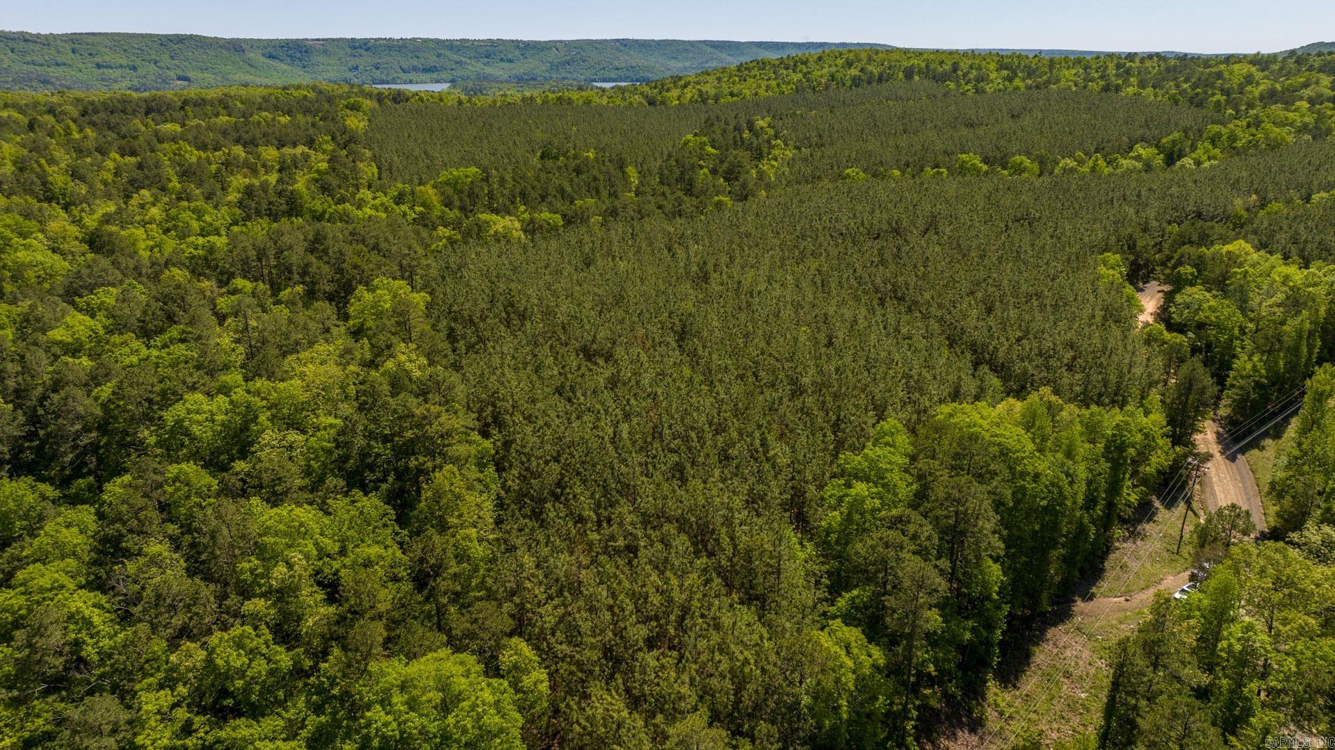 Have you been waiting for 10 acres with no restrictions close to the lake? Your search ends here at 000 Mountain Park Road in Clinton, Arkansas.  Located 2.5 Miles from South Fork Rec Area, this property is a blank canvas ready for your vision; whether you're dreaming of your own private retreat or vacation get away, this land is ready for you to bring your plans to life.  Petit Jean Electric and Fiber Optic Internet available at the road! Public water not available.  Tract 6 is attached in documents!  Taxes need to be verified!