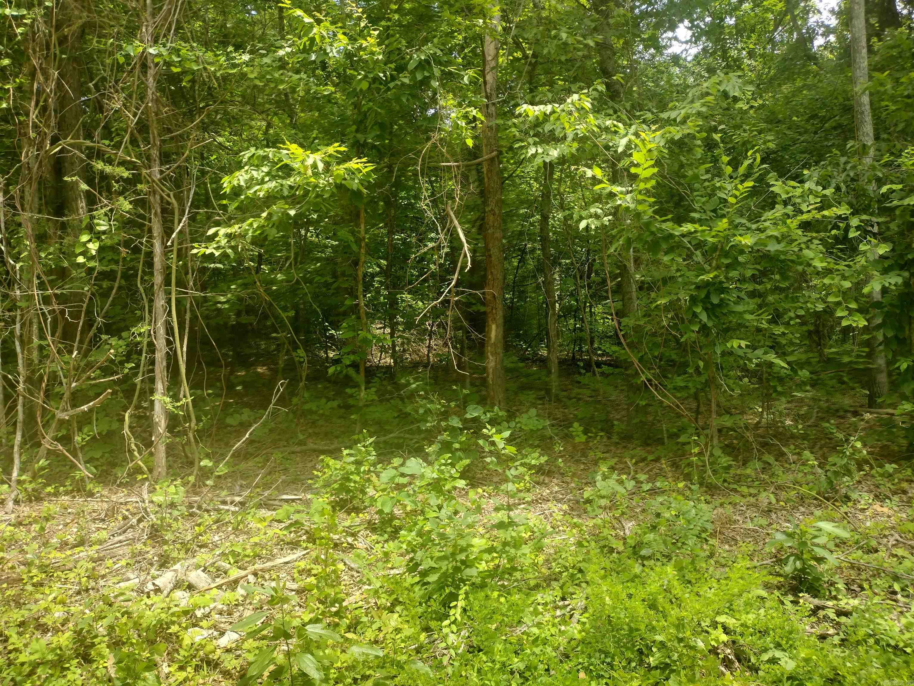 This wooded property awaits you to build your getaway cabin or next home or if you just need a spot for a camper county road frontage for easy access power on front of property