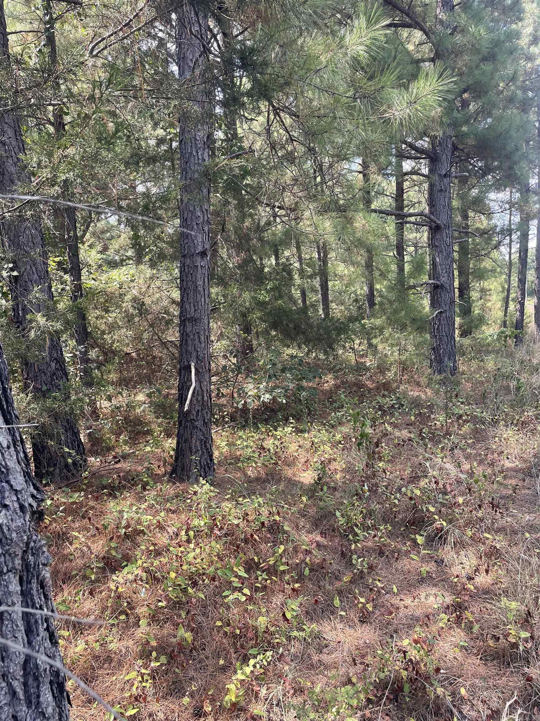 This is newly subdivided property is split into 3 and up to 11 acres  This is gently slops with rural water and First Electric power.  Some lots have water features such a spring feed ponds, some have trees and some are open.  Take a look today and call me for further details.