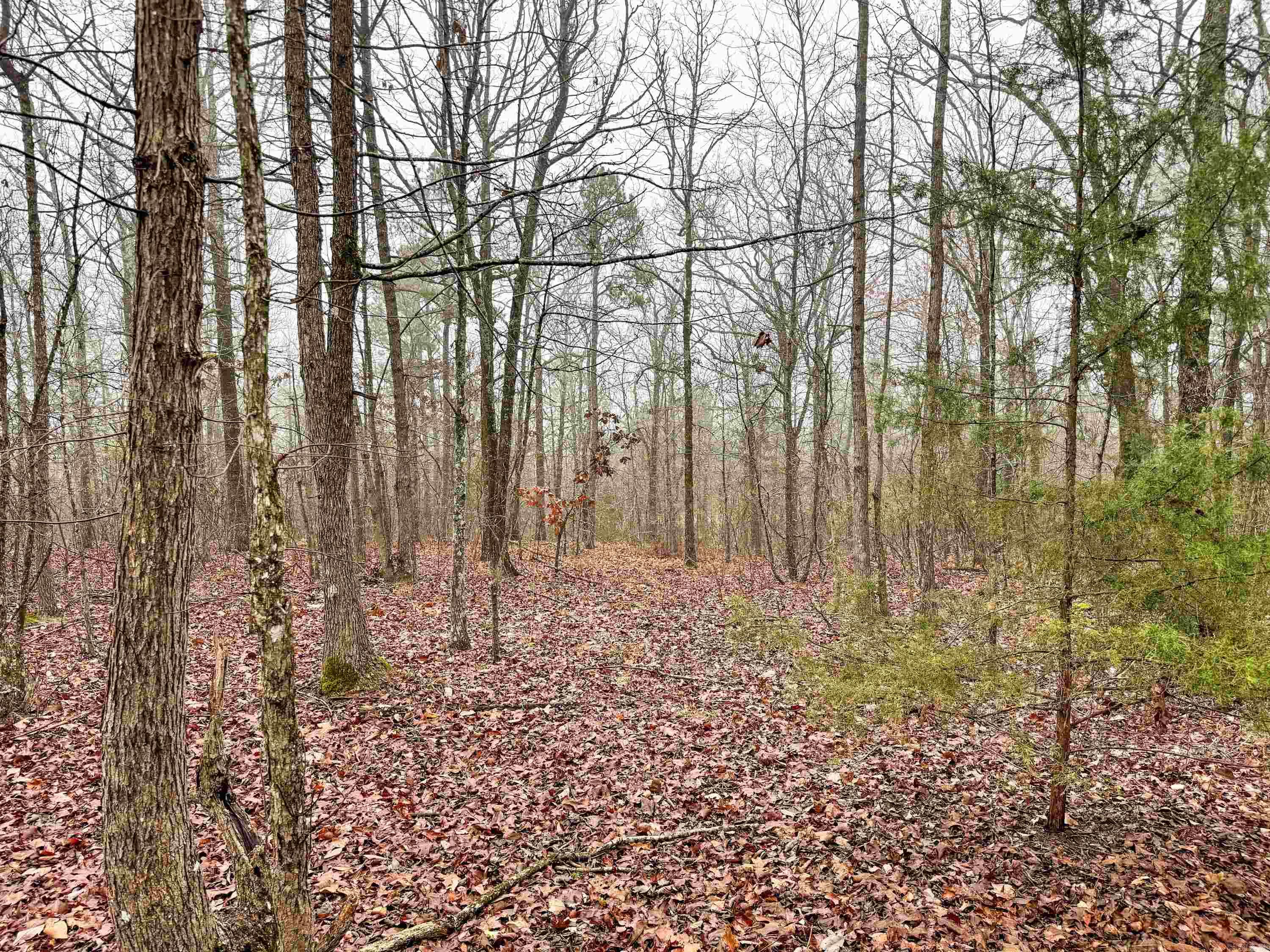 High Point - Land