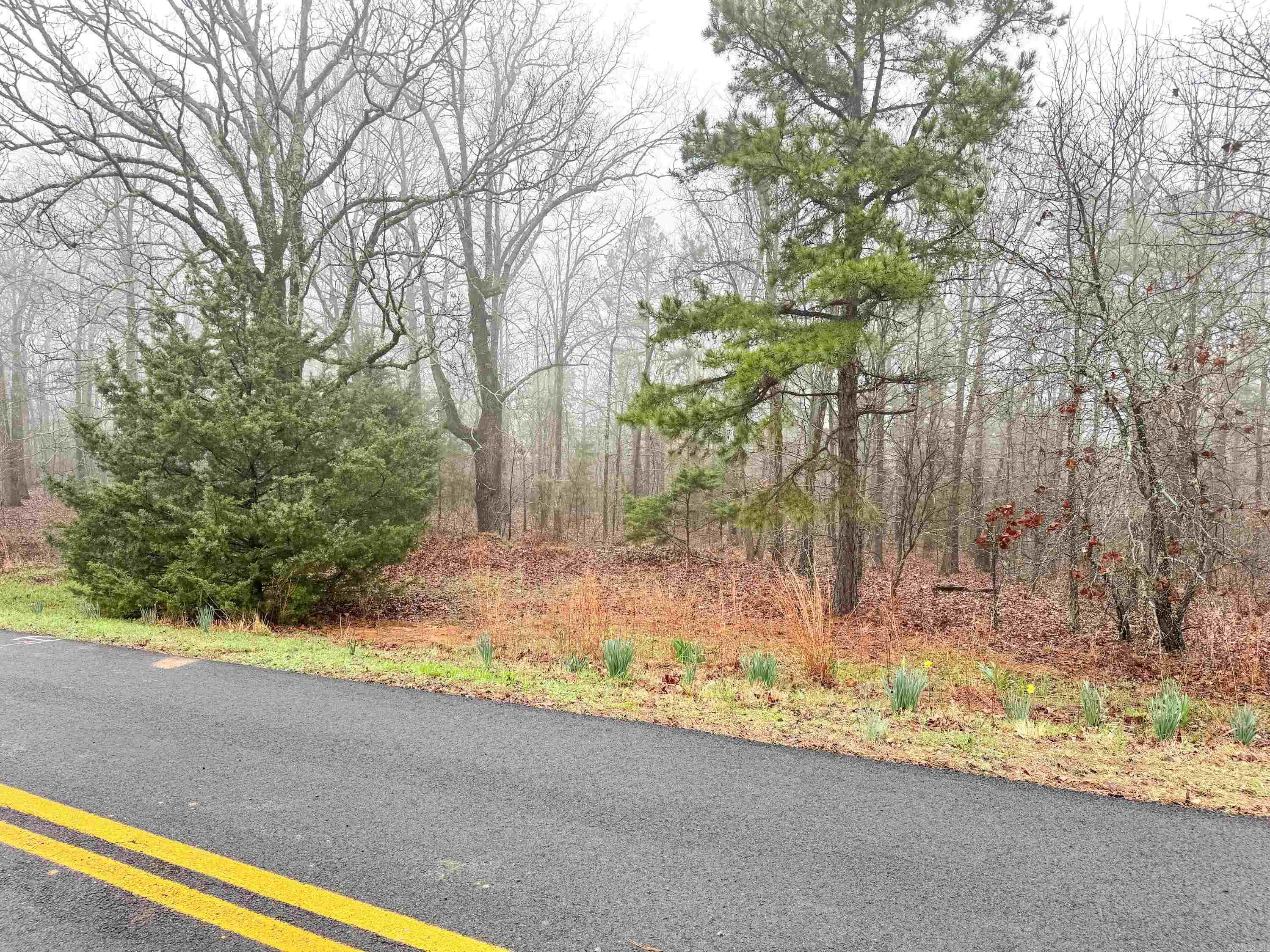 Beautiful lot in High Point Subdivision located in the Arkansas River Valley, just four miles northwest of Mayflower and less than 10 minutes from the nearest on-ramp to I-40. The subdivision is private and tucked away on a dead-end county road. This lot is 3 acres. The land is very buildable with a slow downward slope from the road. These tracts have lots of oak and hickory trees as well as few winged elms, Deerberry shrubs, muscadine vines, and wild blackberries. It’s common to see abundant wildlife, including white-tailed deer, rabbits, gray squirrels and many species of birds.  There are several very nice homes along the ridge, with residents whom all have the self-sufficiency of their own water wells. Minimum building square footage is 1,450 and no mobile homes are allowed. More lots are available.