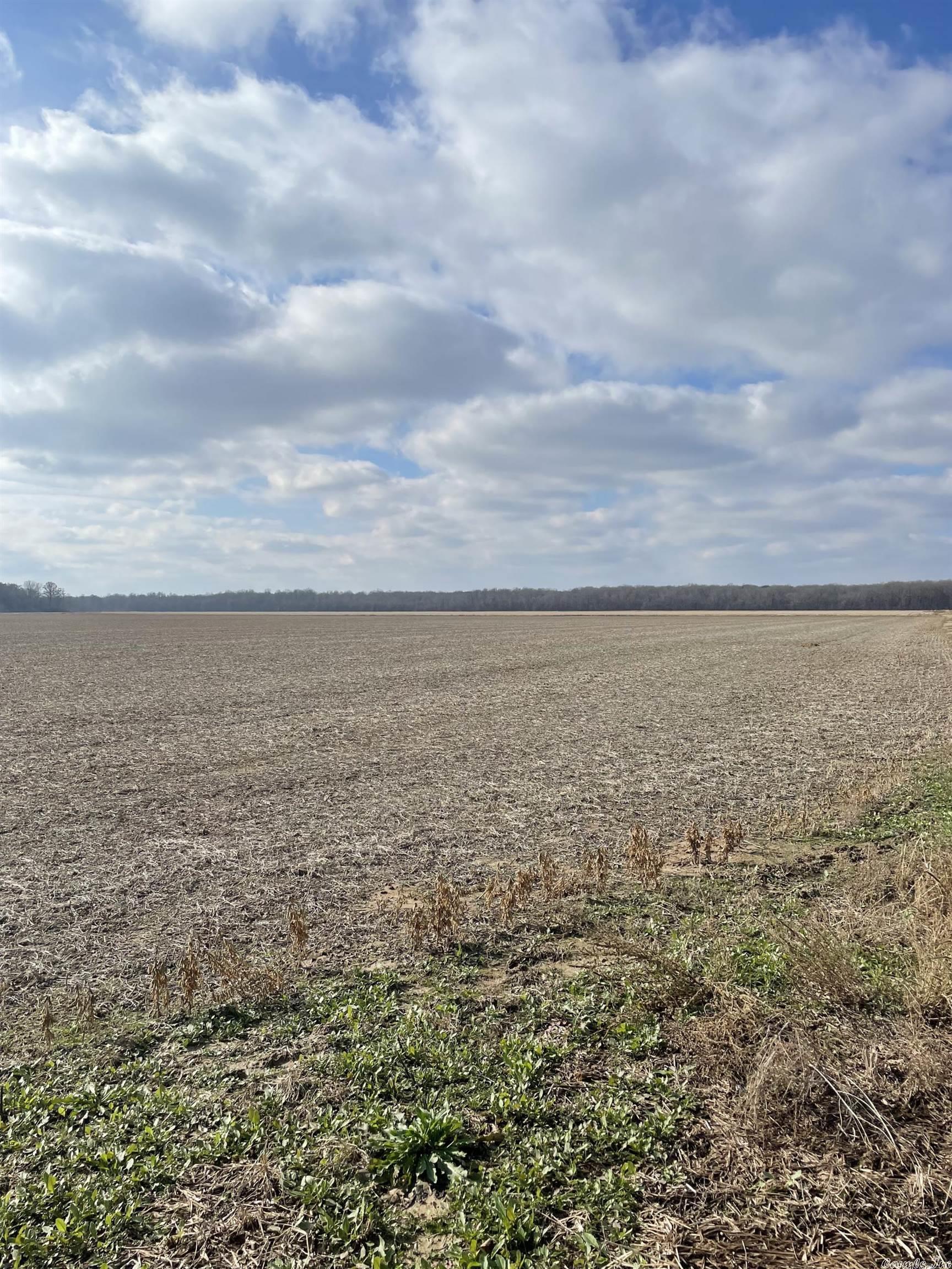 255 +/- acre, row crop farm located 6 miles NW of Alicia in Lawrence County.  If you are an investor looking to add to your portfolio or purchase your first farm to a farmer looking to expand, this is a turn key farm!This farm is all leveled with 5 irrigation wells and excellent drainage.The farm is currently in a rice and soybean rotation.  Soil is light silt loom.  There is a good road all way around farm.