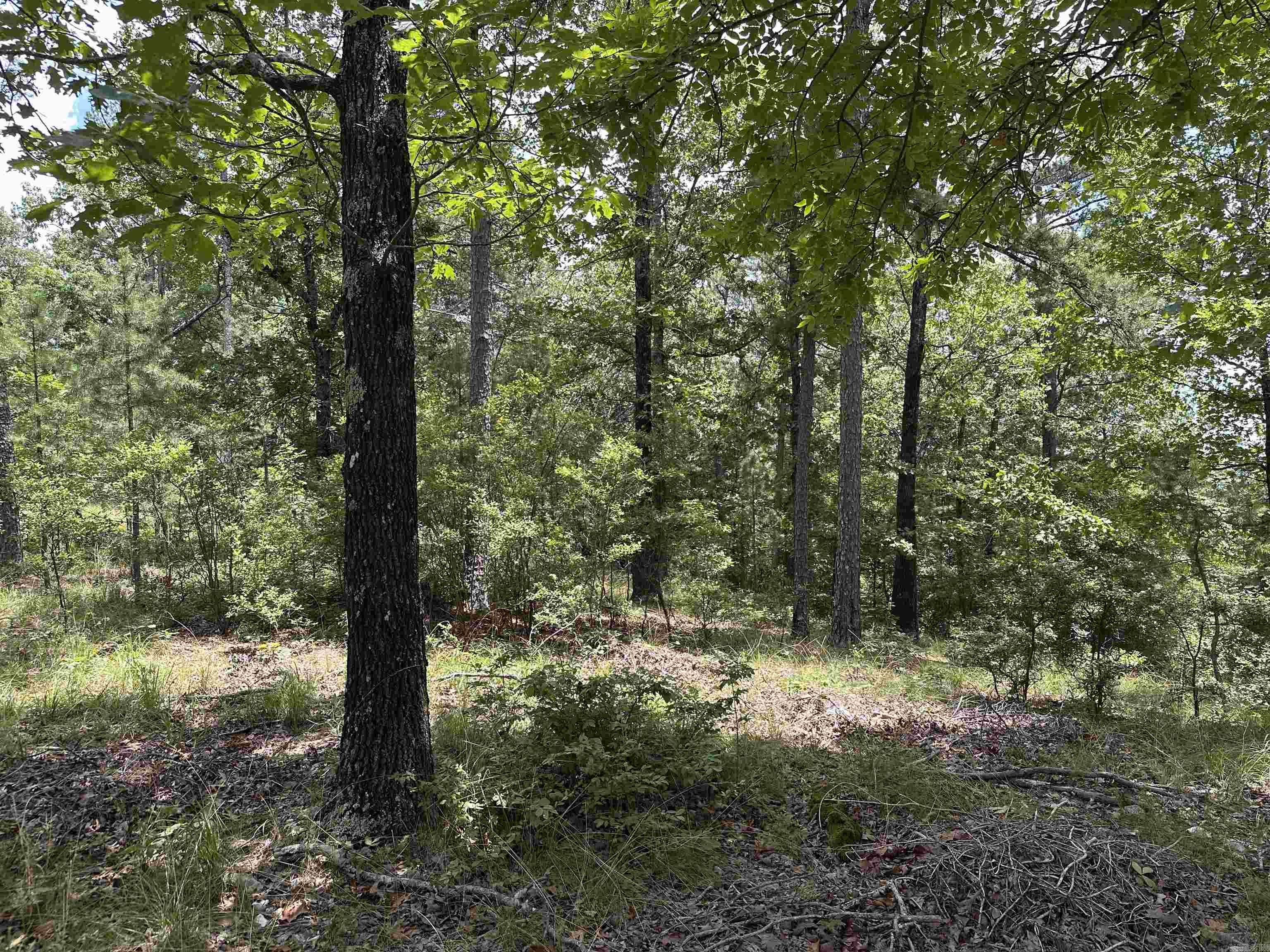 This beautiful lot is the perfect place for you to build your dream home. 13.69 acres with a view and plenty of privacy in this gated subdivision. The only thing missing is you and your vision for such a beautiful peace of land. This whole area is quiet and peaceful making you feel like you secluded and away from the hustle of the city. Yet, you are close to everything Hot Springs has to offer.