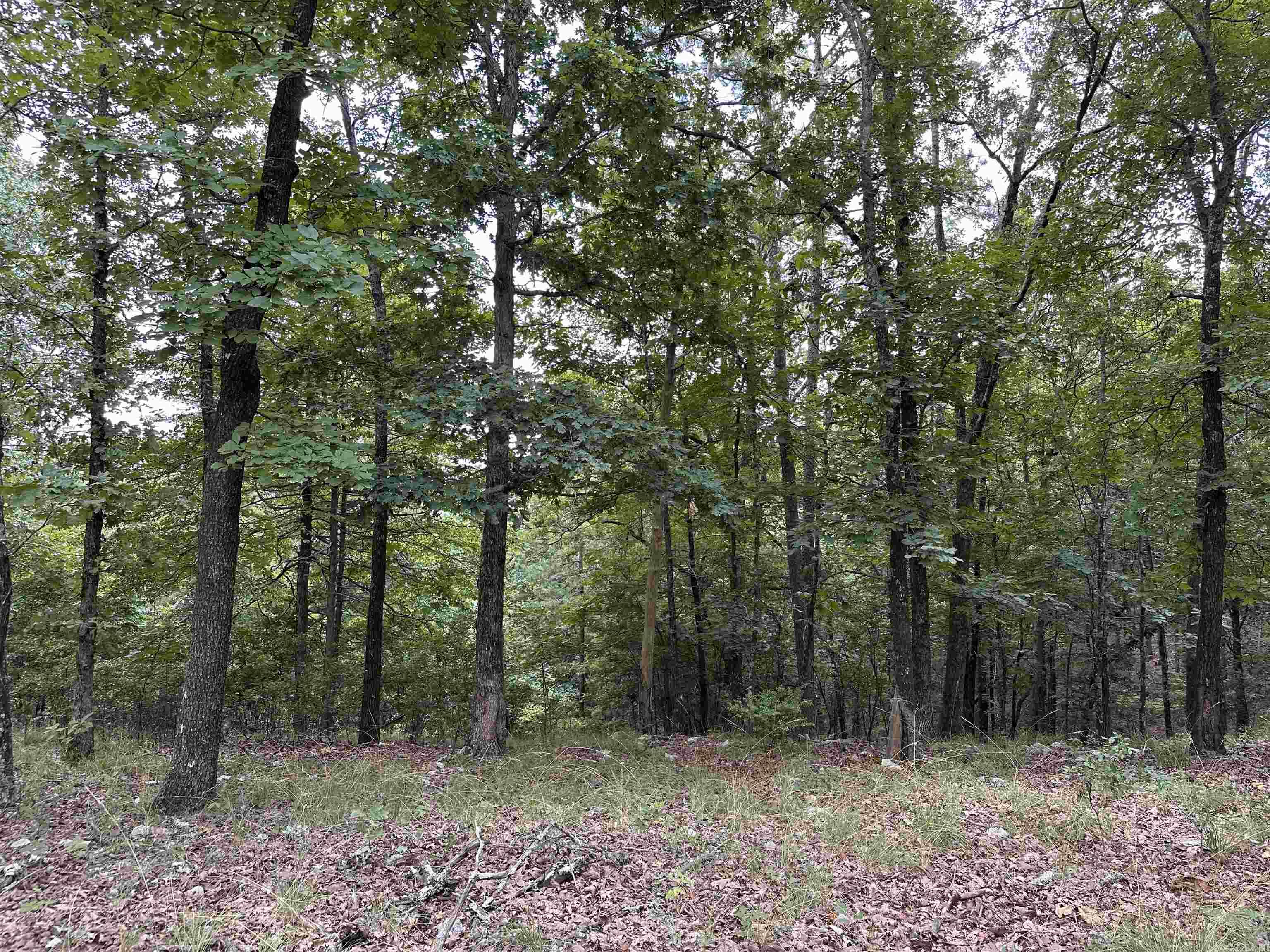 North Lake Estates - Land
