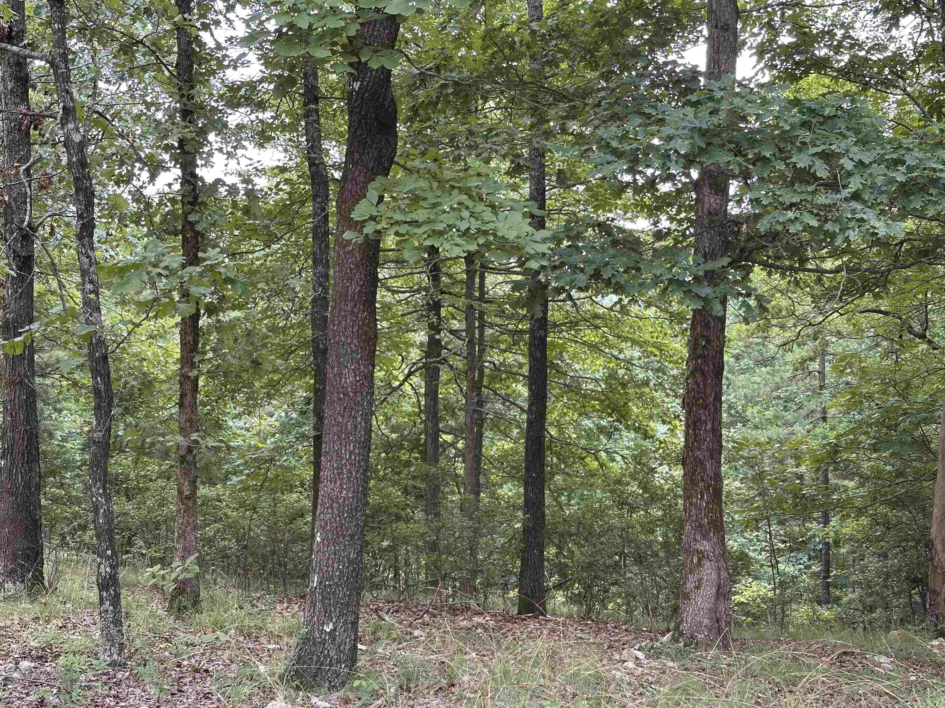 North Lake Estates - Land