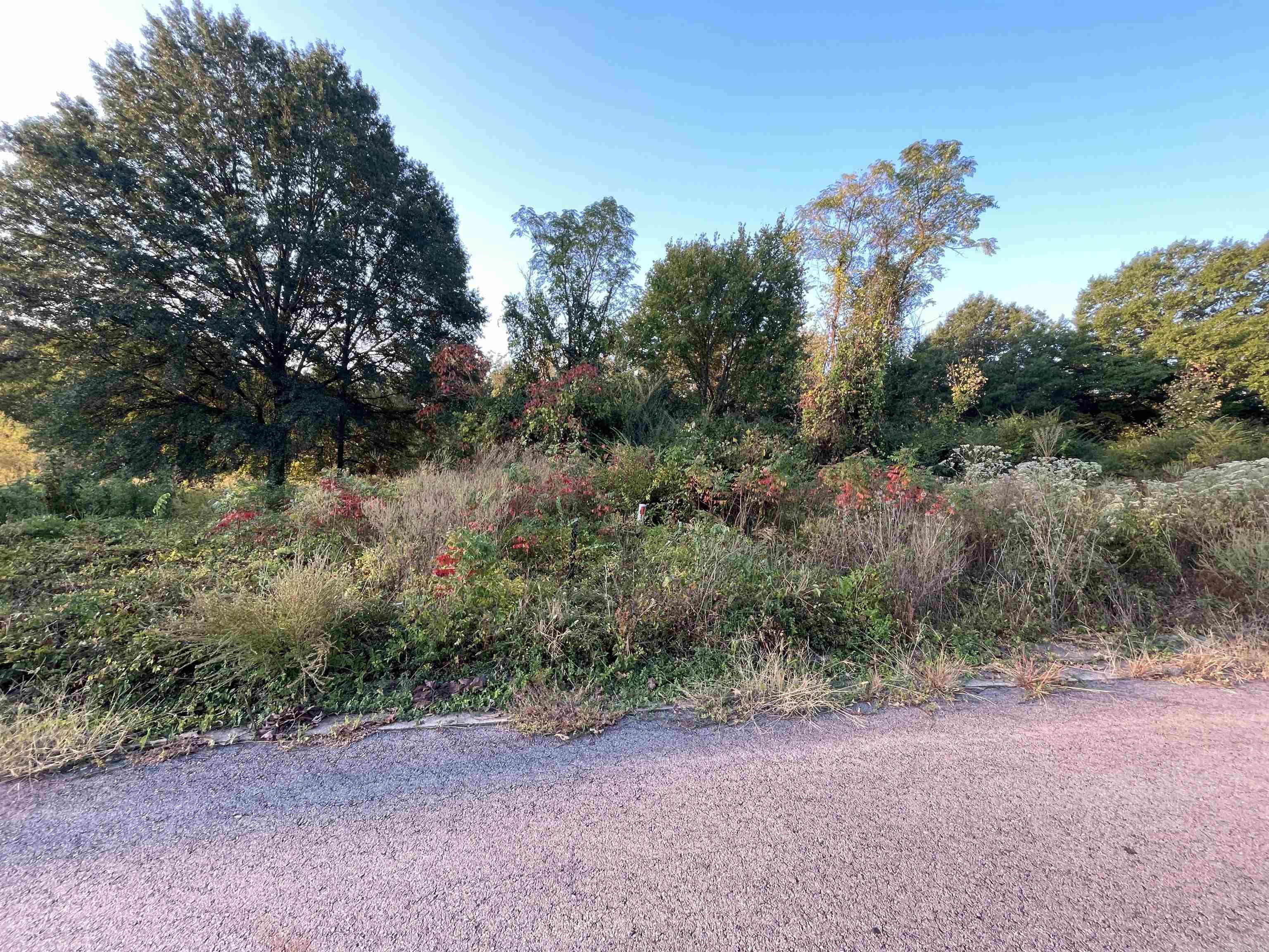 Country Estates - Land