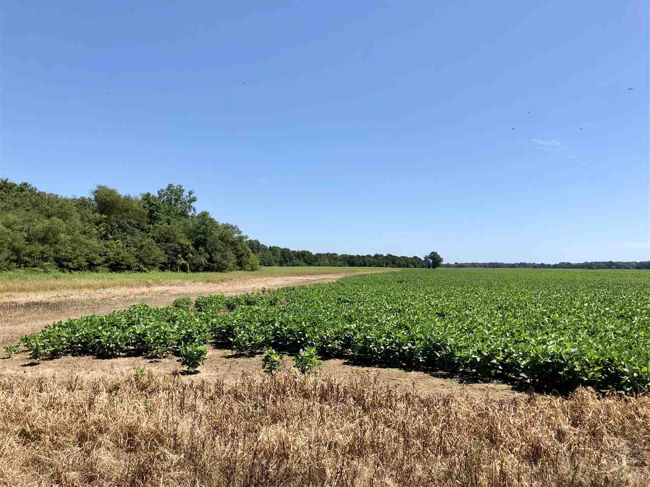 McCrory - Farm