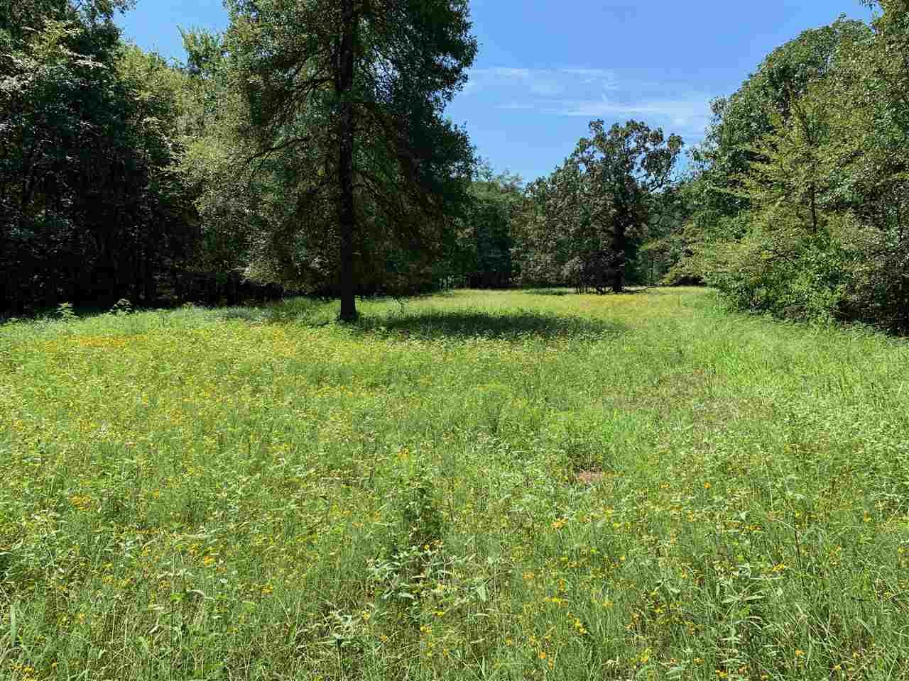 McCrory - Farm