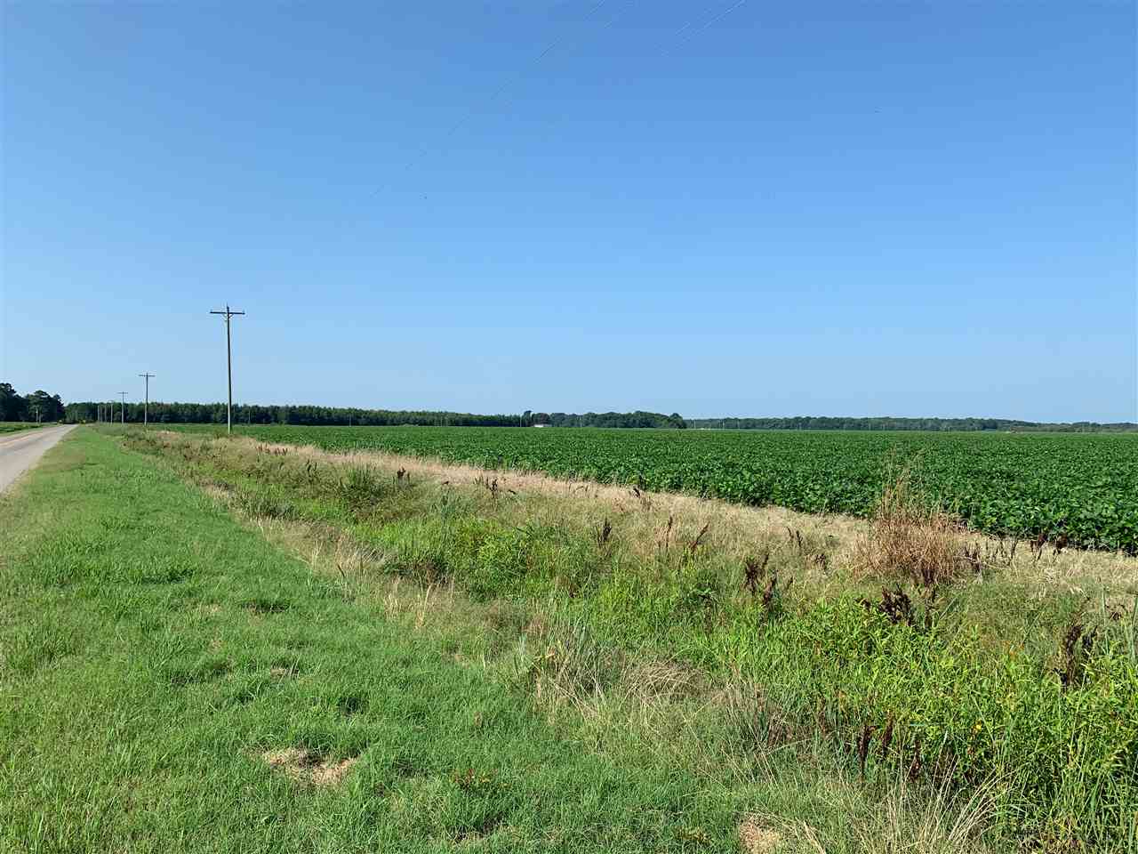 McCrory - Farm