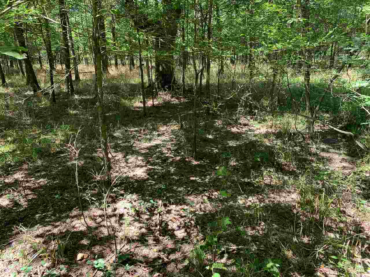 McCrory - Farm