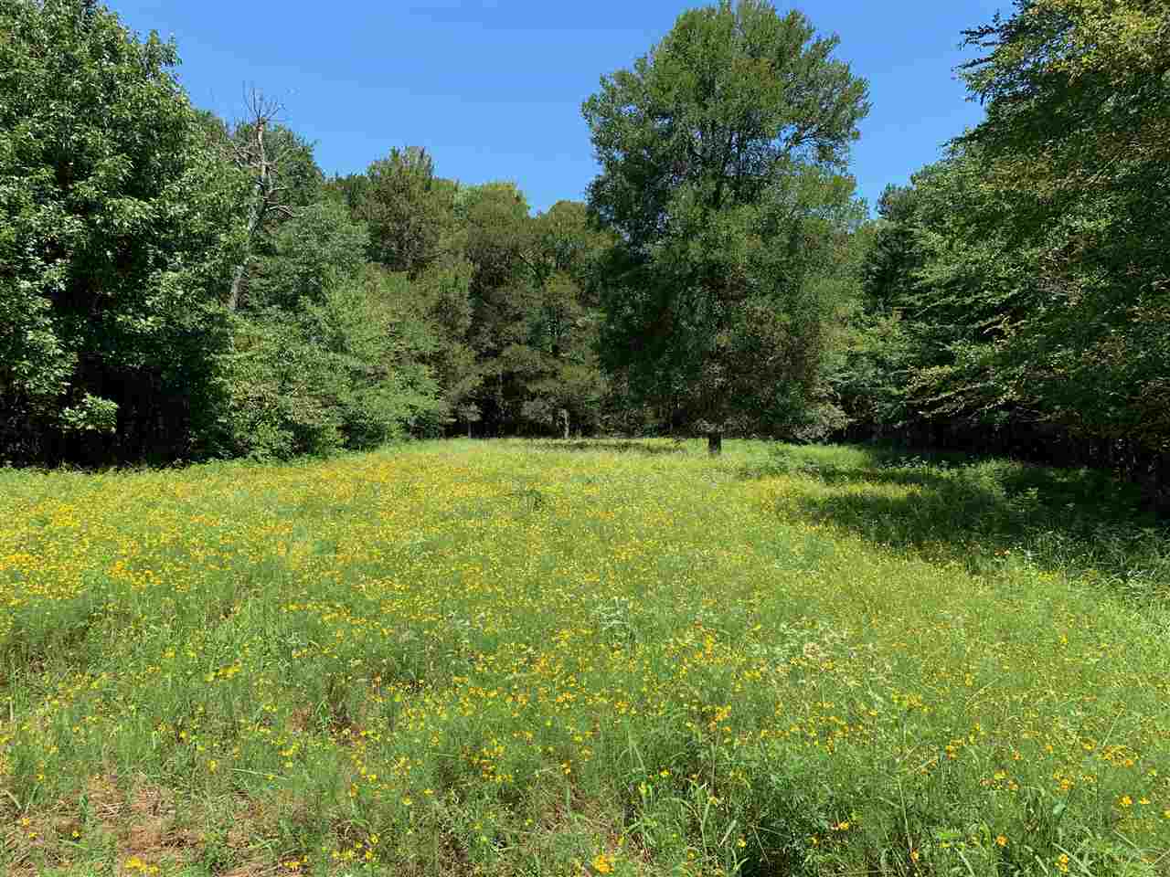 McCrory - Farm