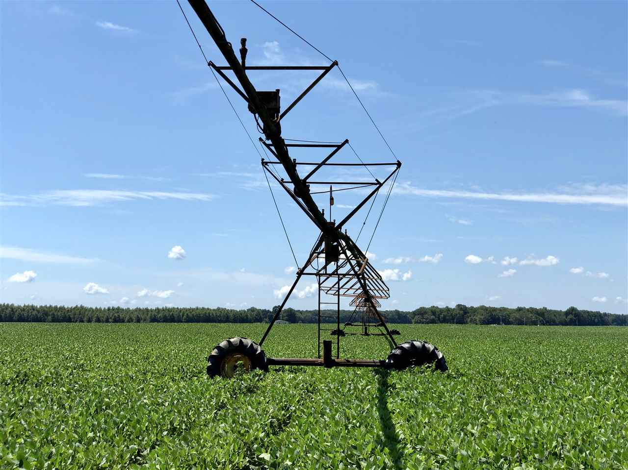 McCrory - Farm