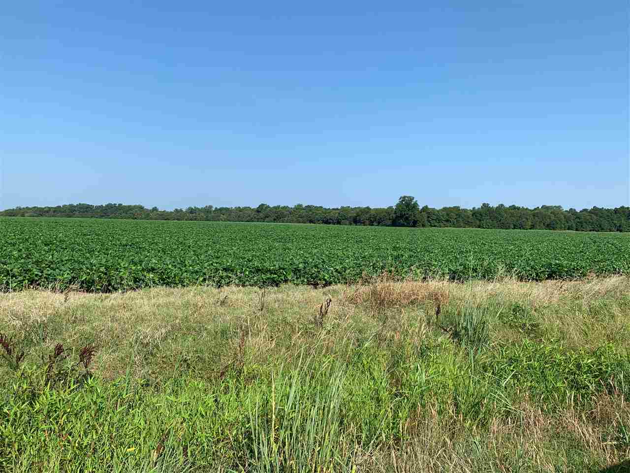 McCrory - Farm