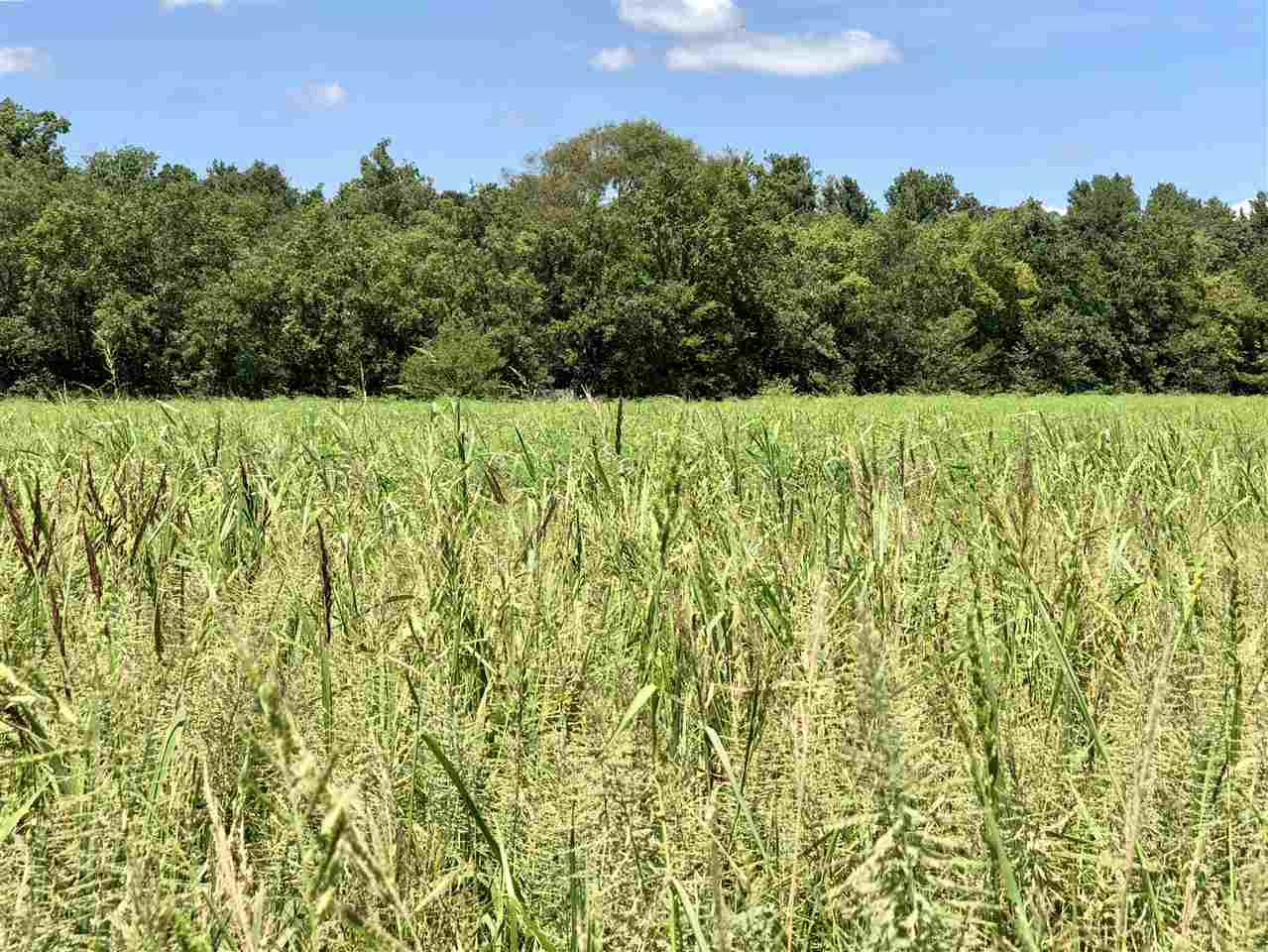 McCrory - Farm