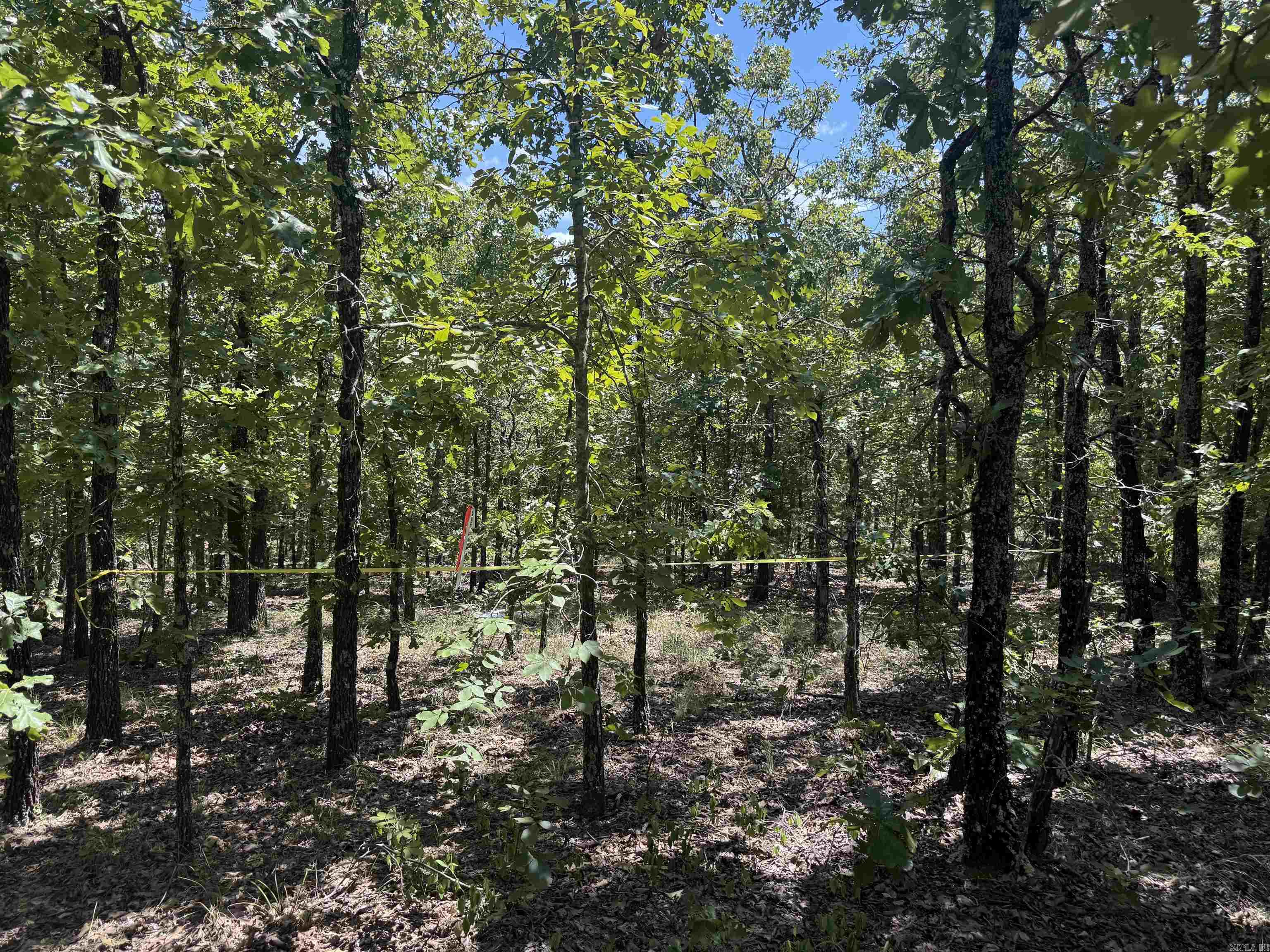 7 LAKES RANCH ESTATES PHASE 1 - Land