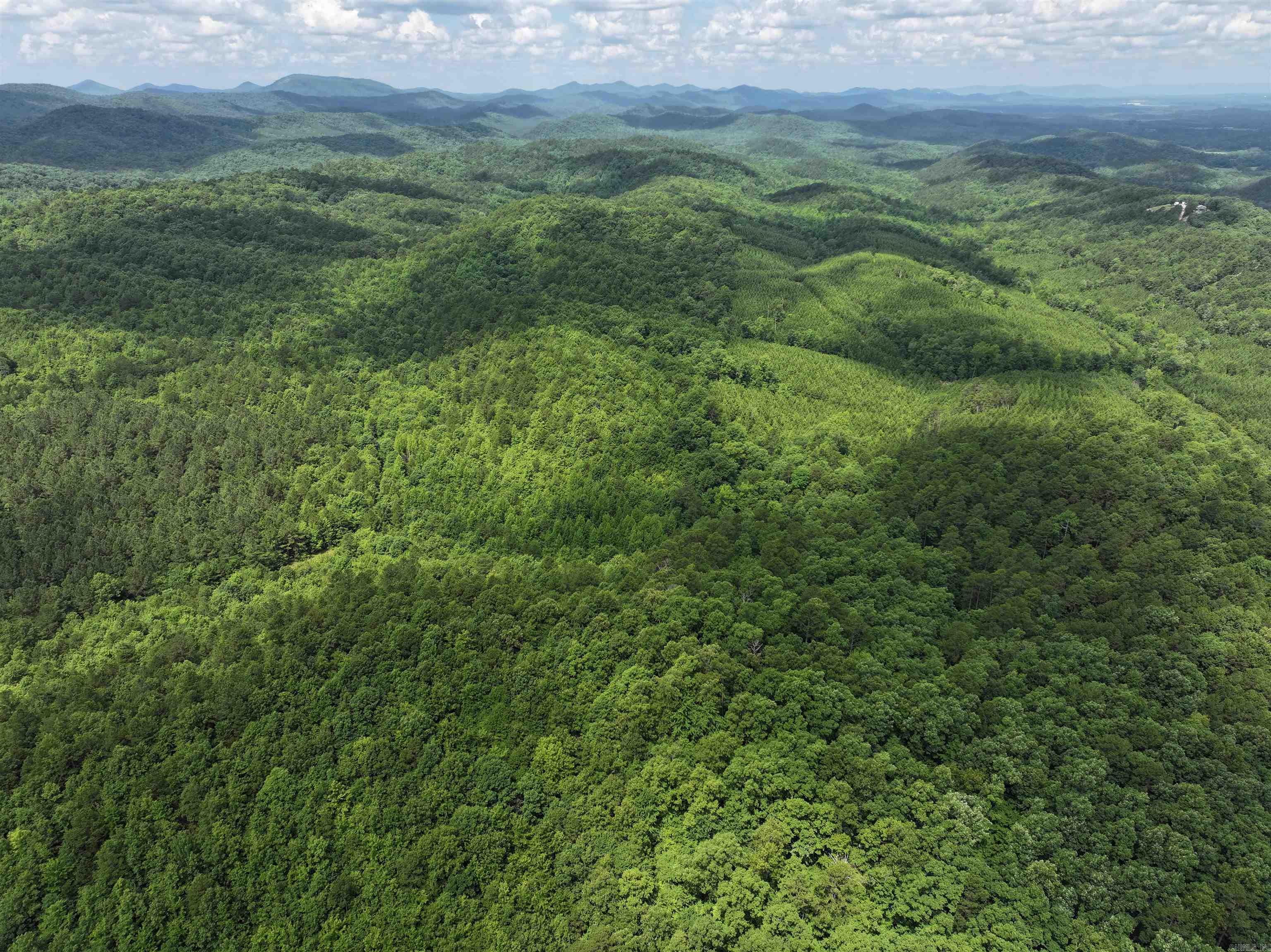 200 Acres that joins National Forest! Multiple high building sites with unparalleled views! Property with tons of wildlife! Property has beautiful mature Pine and Hardwood trees. Great Access to this property from Polk Road 61 and Polk Road 62.  New Roads built on this property!  Owner financing available.