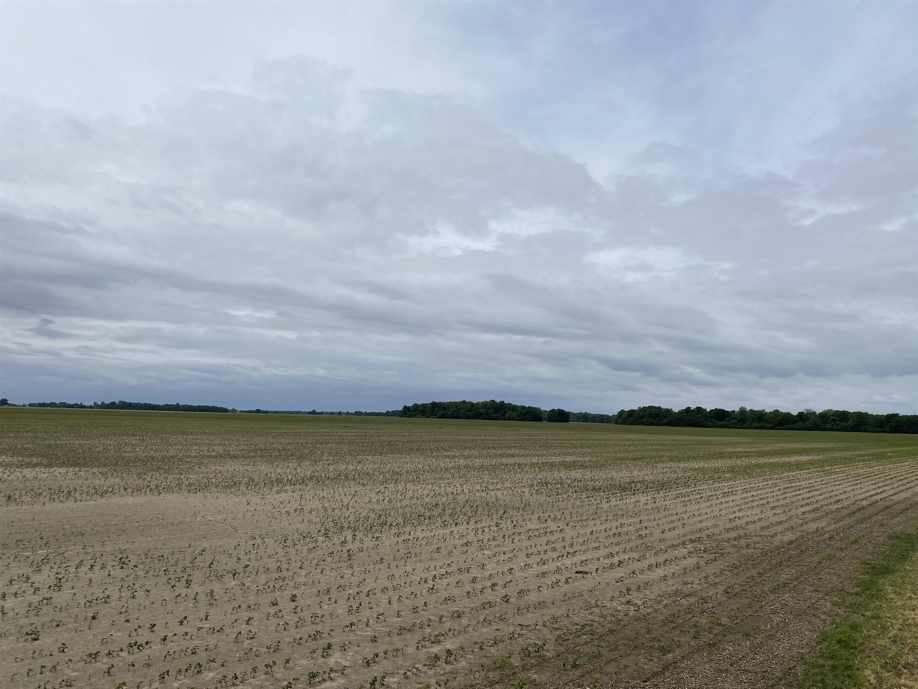 Metes & Bounds - Farm