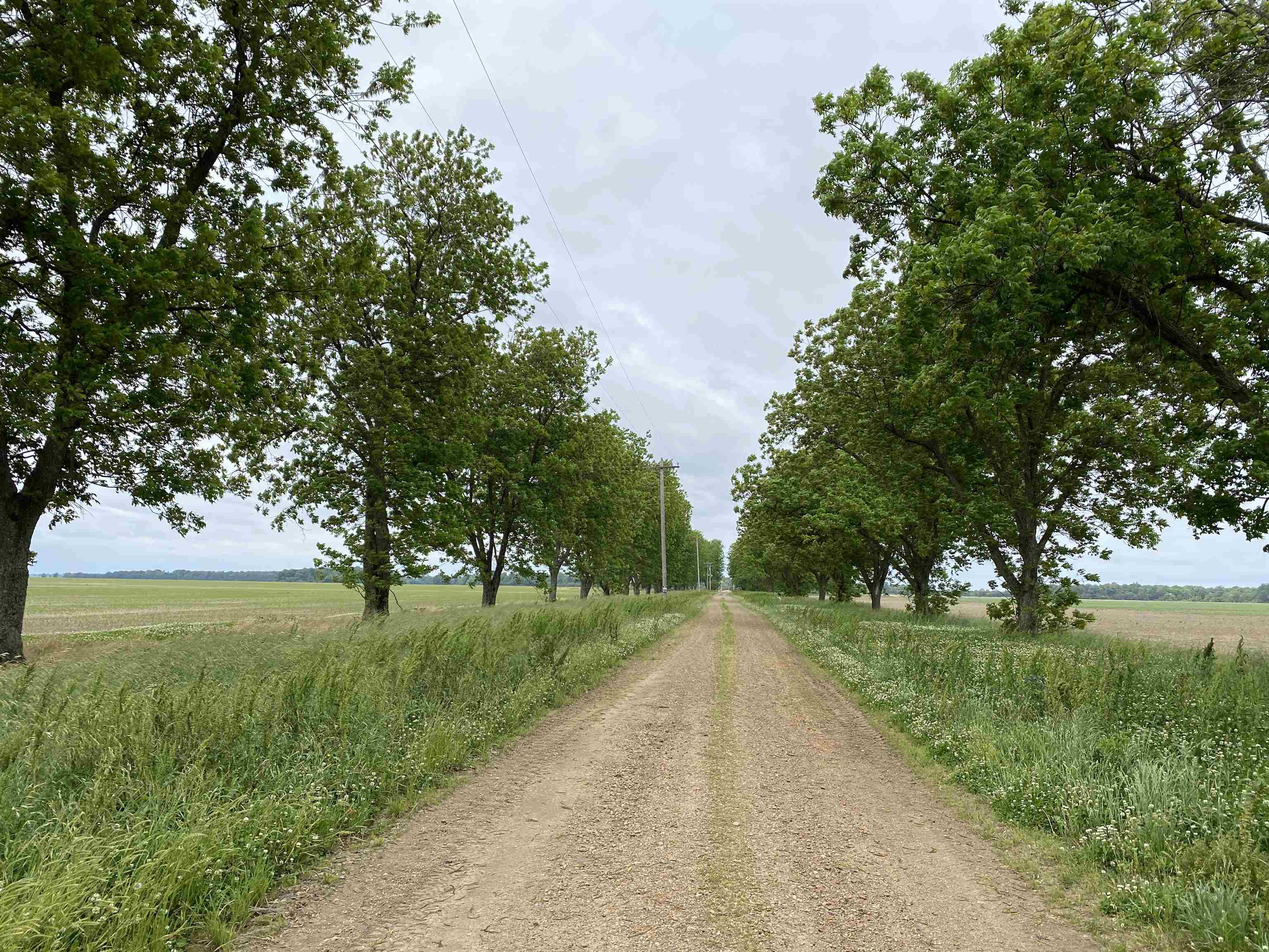 Metes & Bounds - Farm