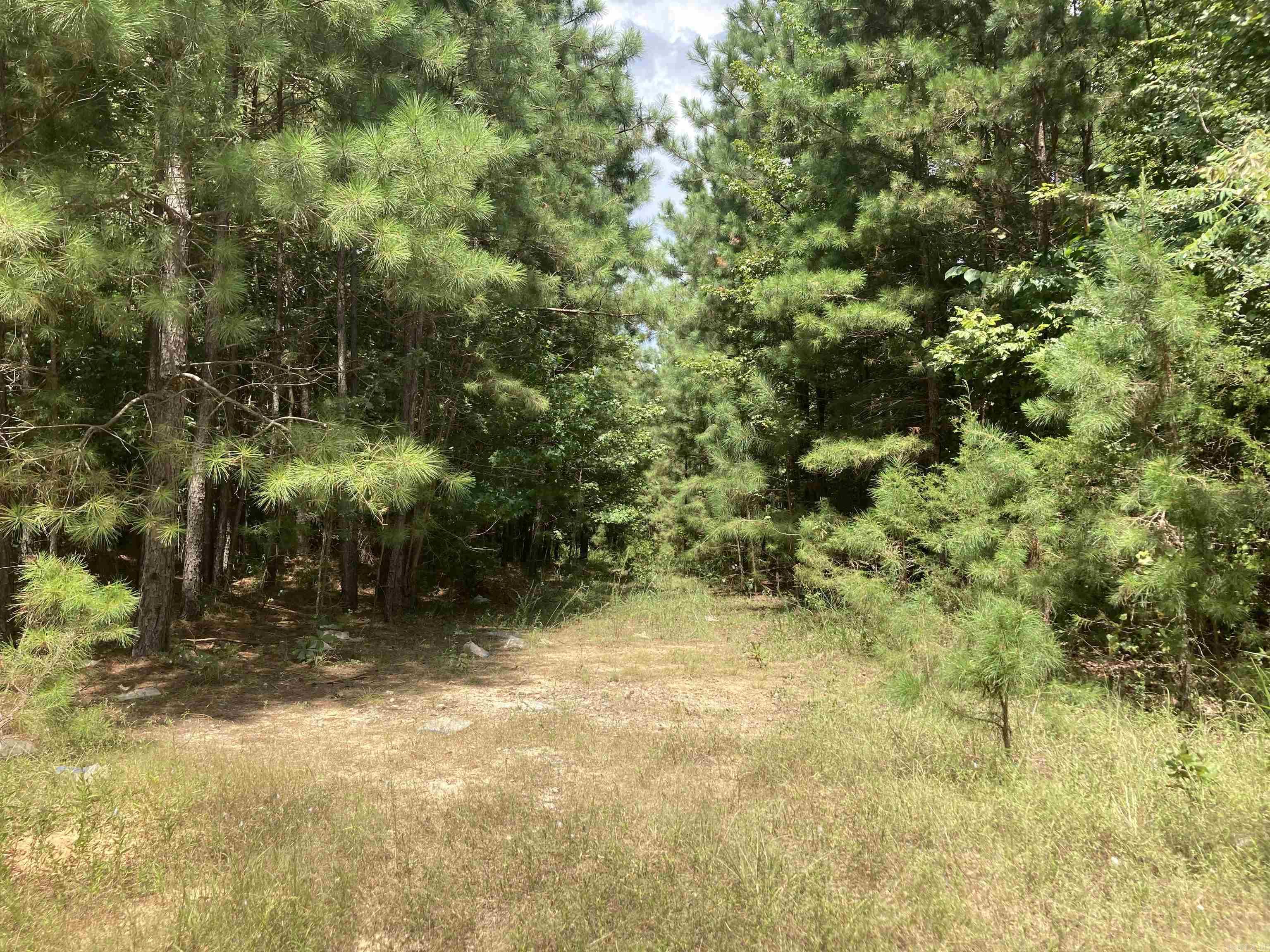 Cove Acres - Land