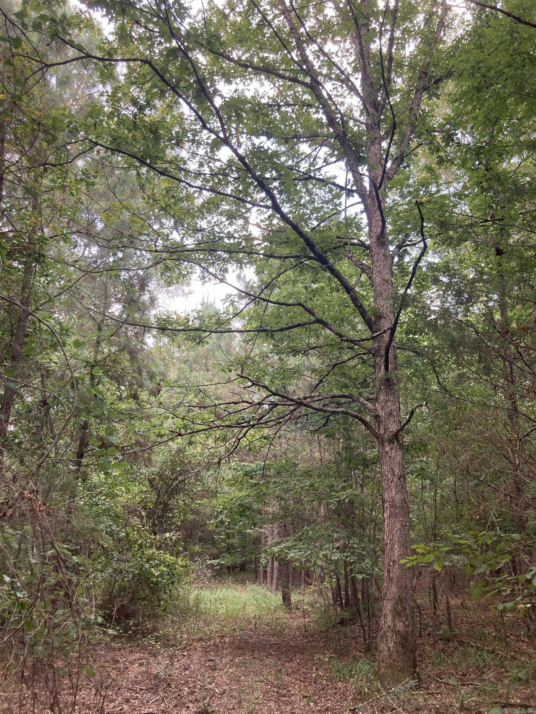 Cove Acres - Land
