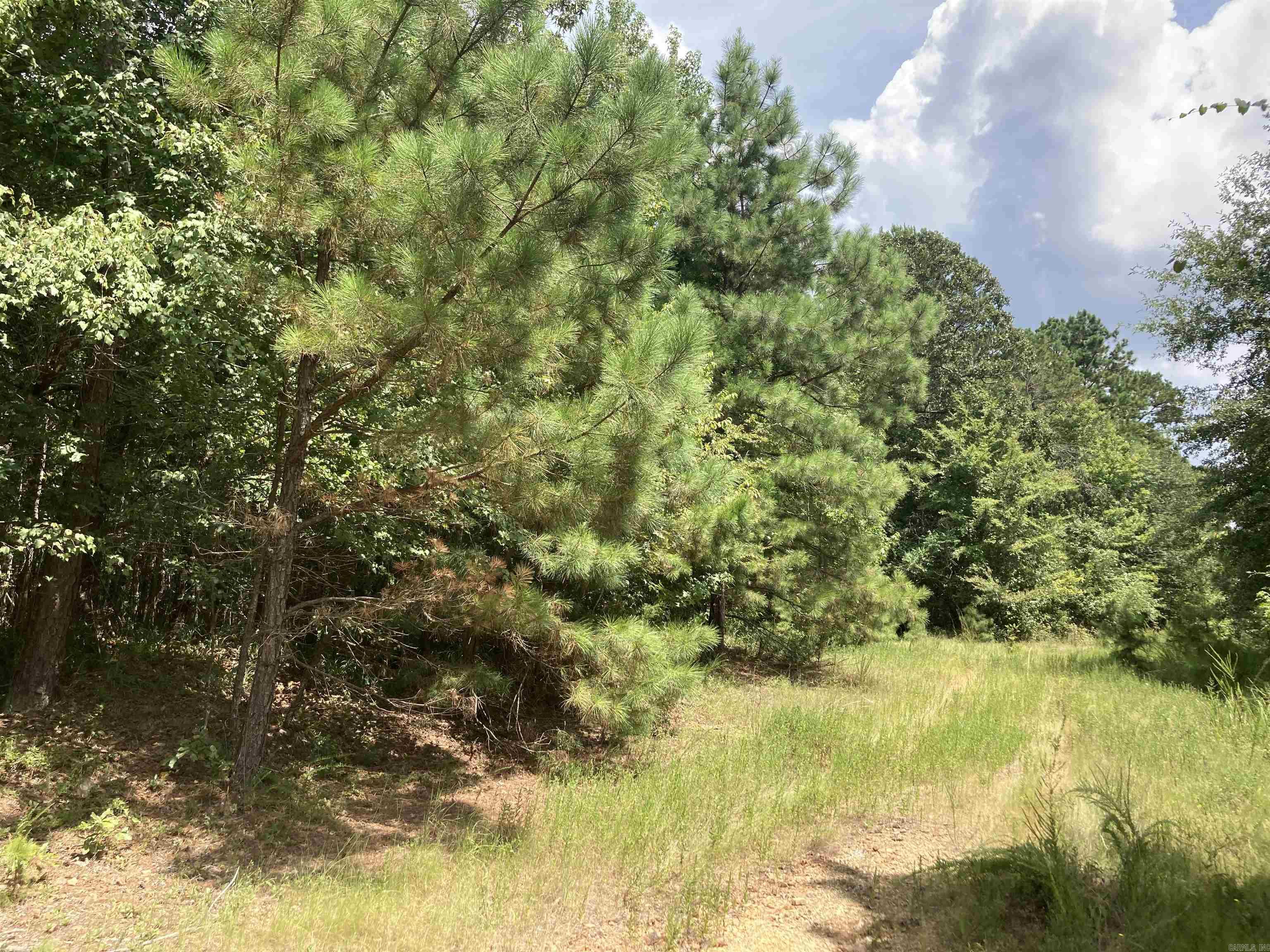 Cove Acres - Land