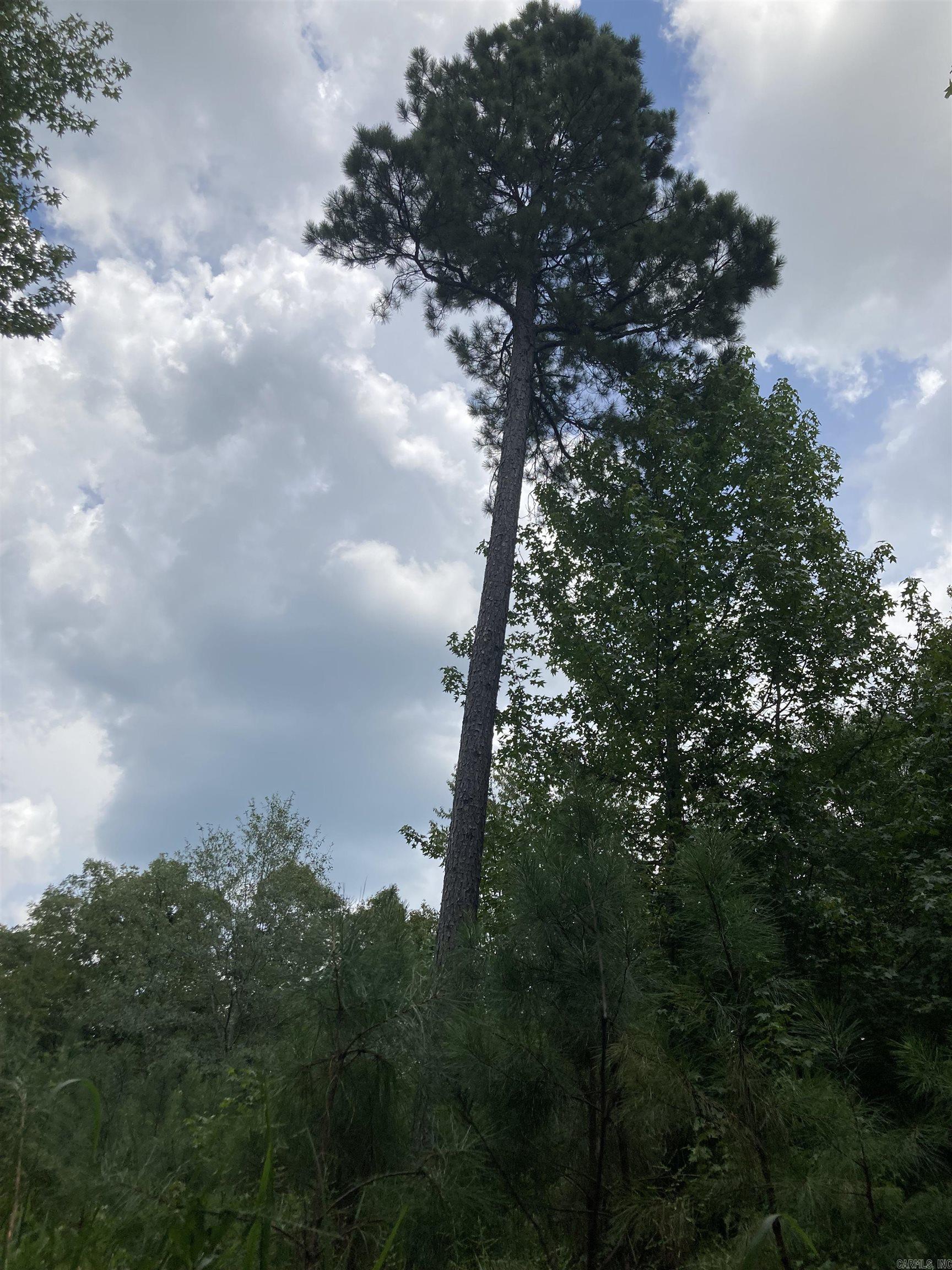 Cove Acres - Land