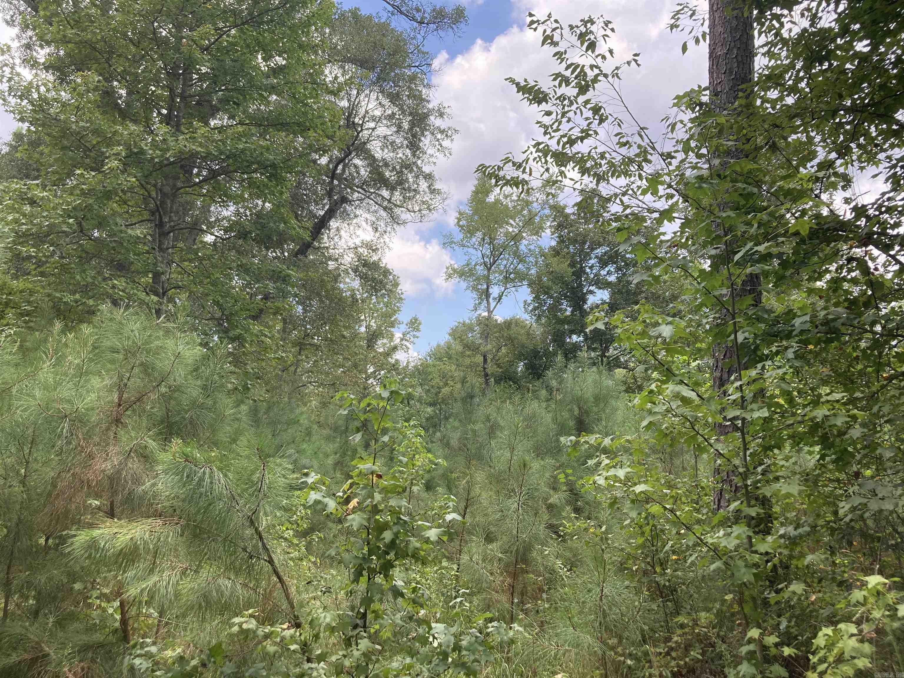 Cove Acres - Land