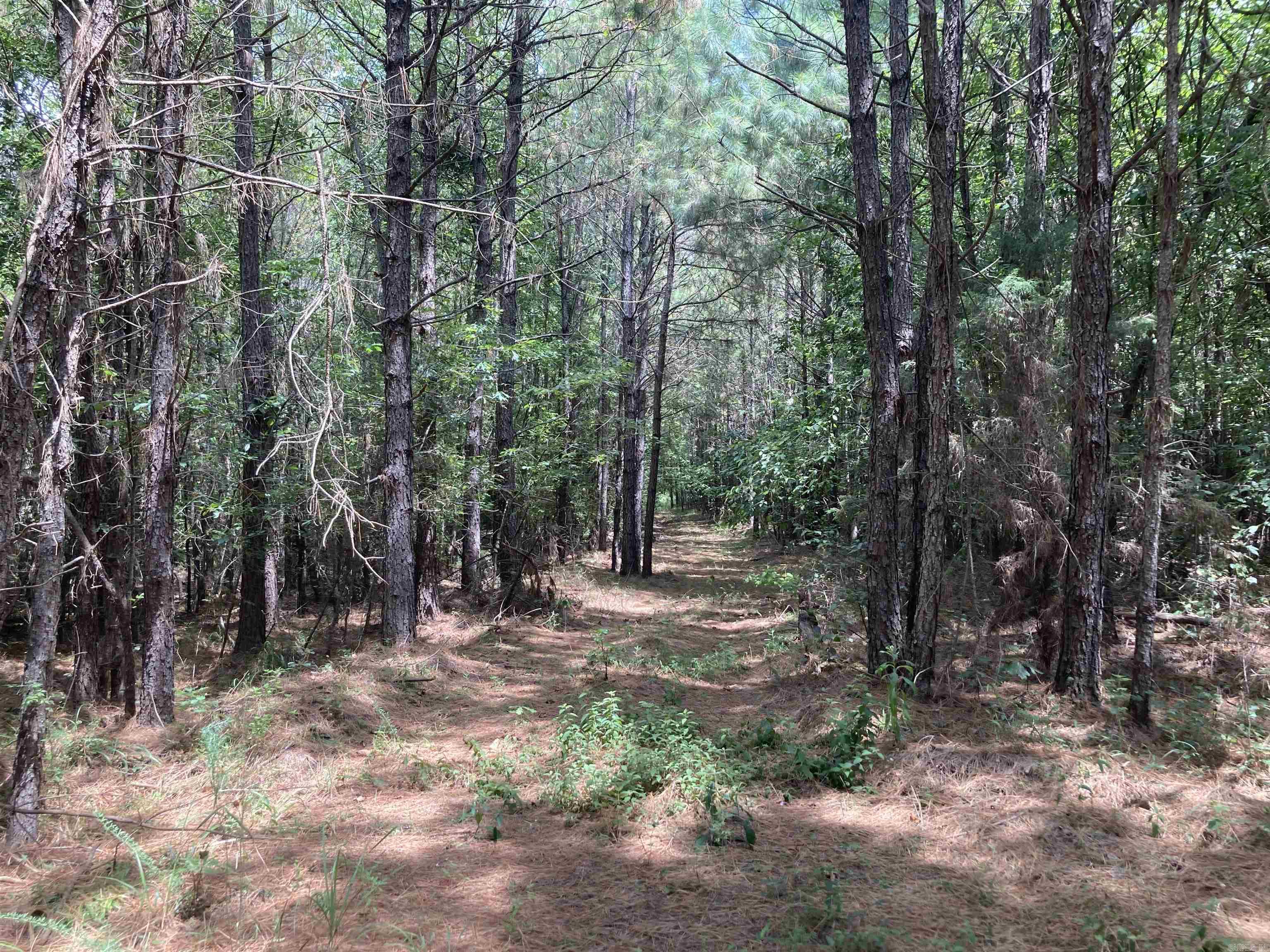 Cove Acres - Land