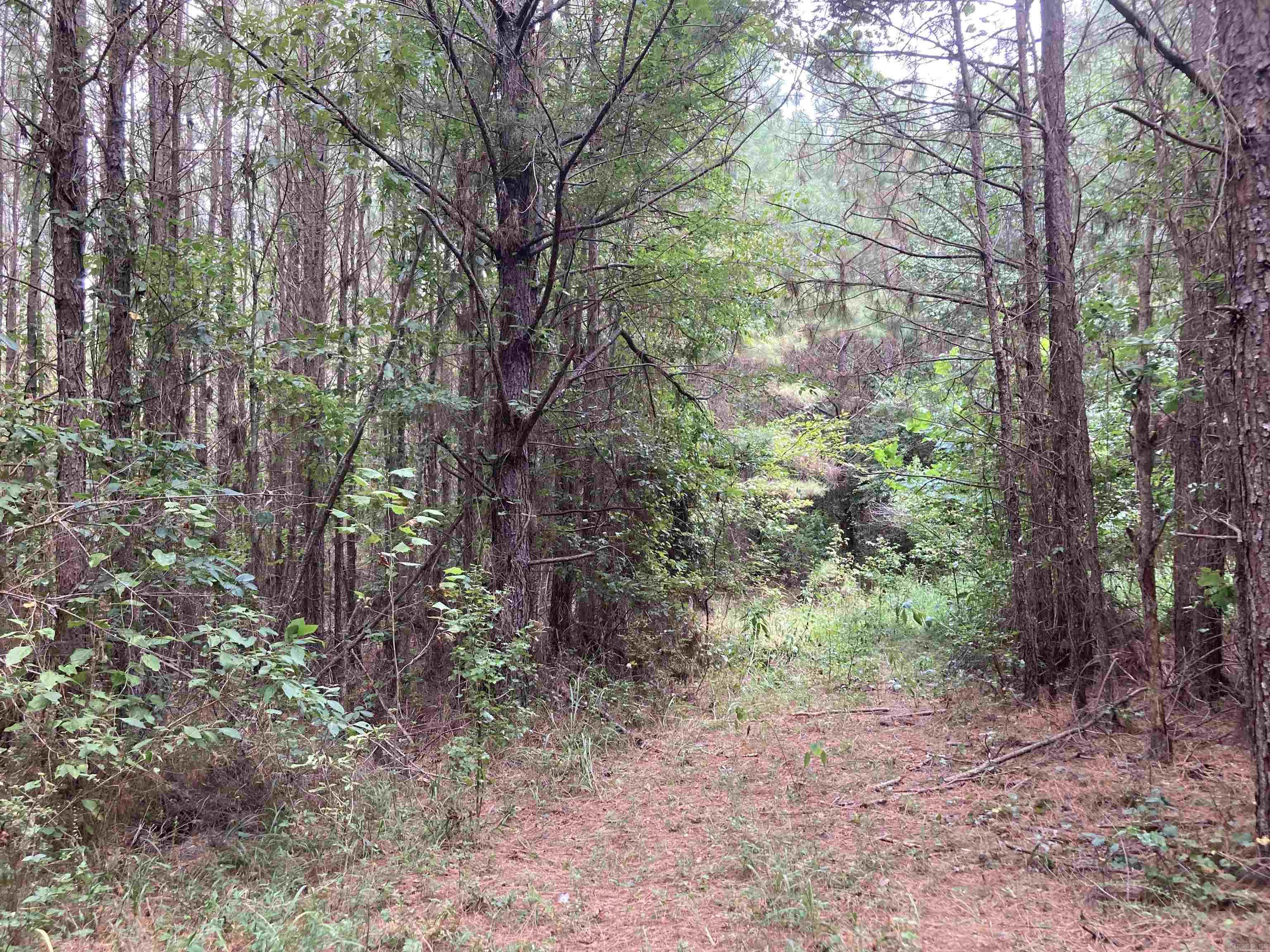 Cove Acres - Land