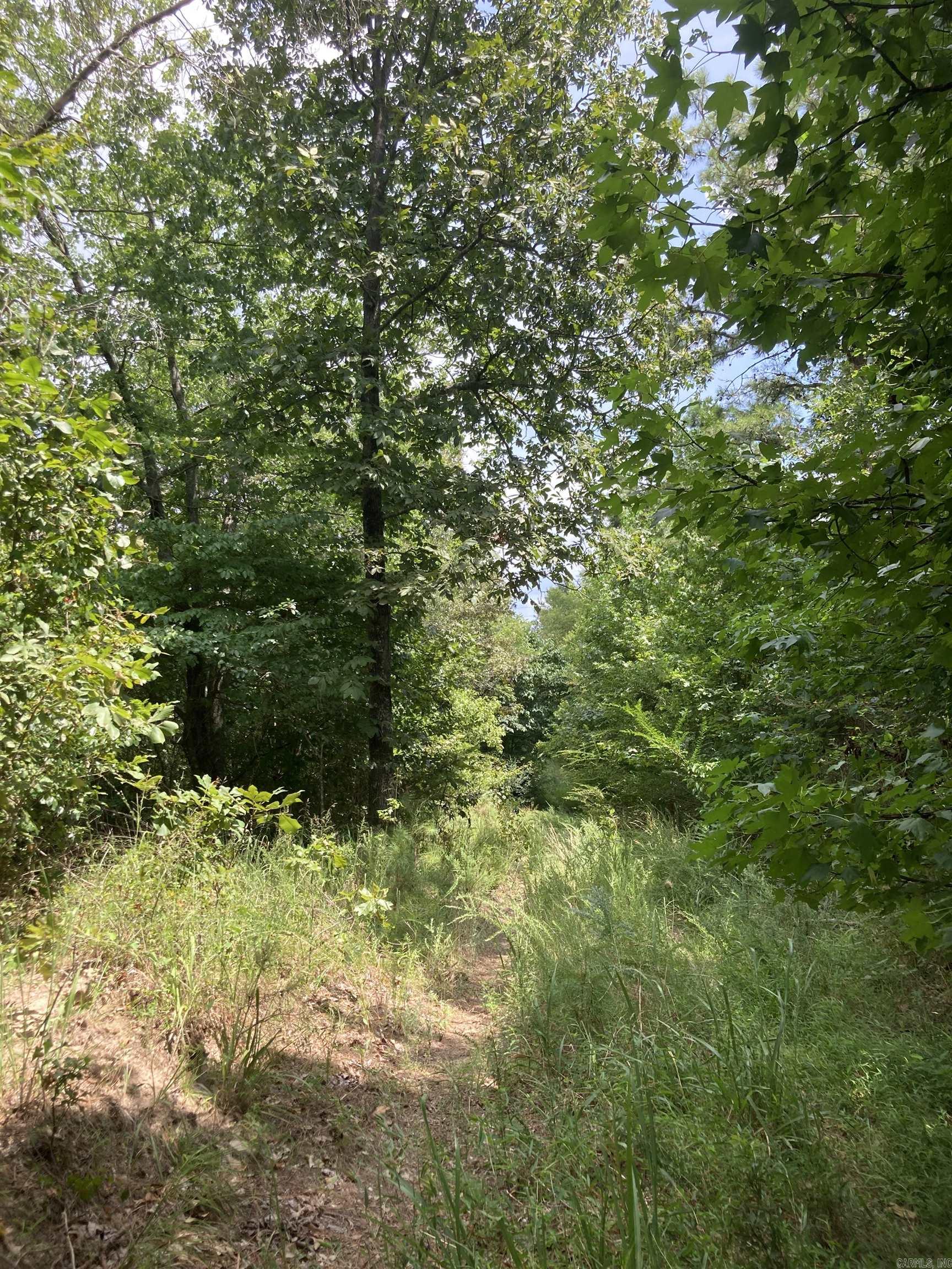 Cove Acres - Land