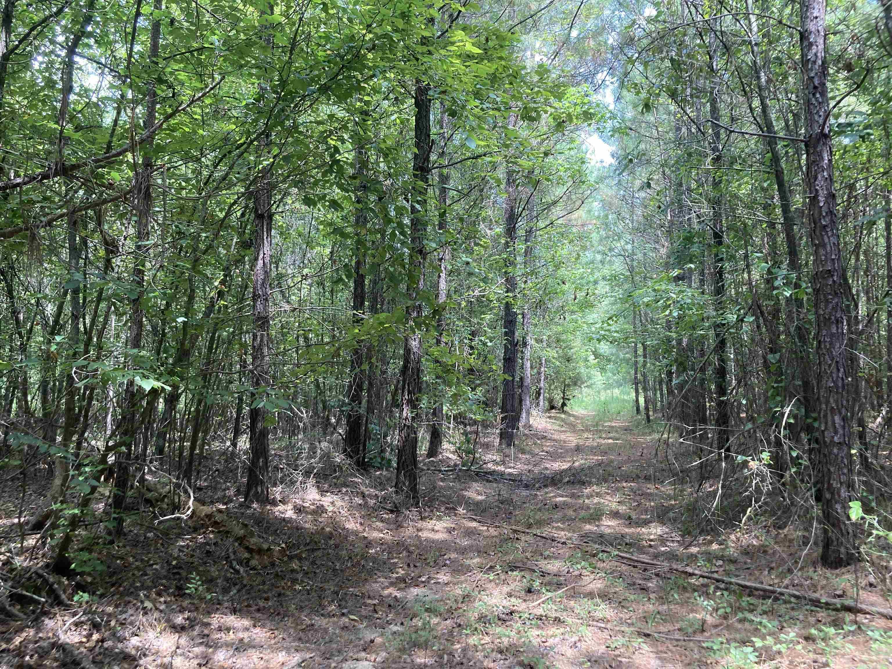 Cove Acres - Land