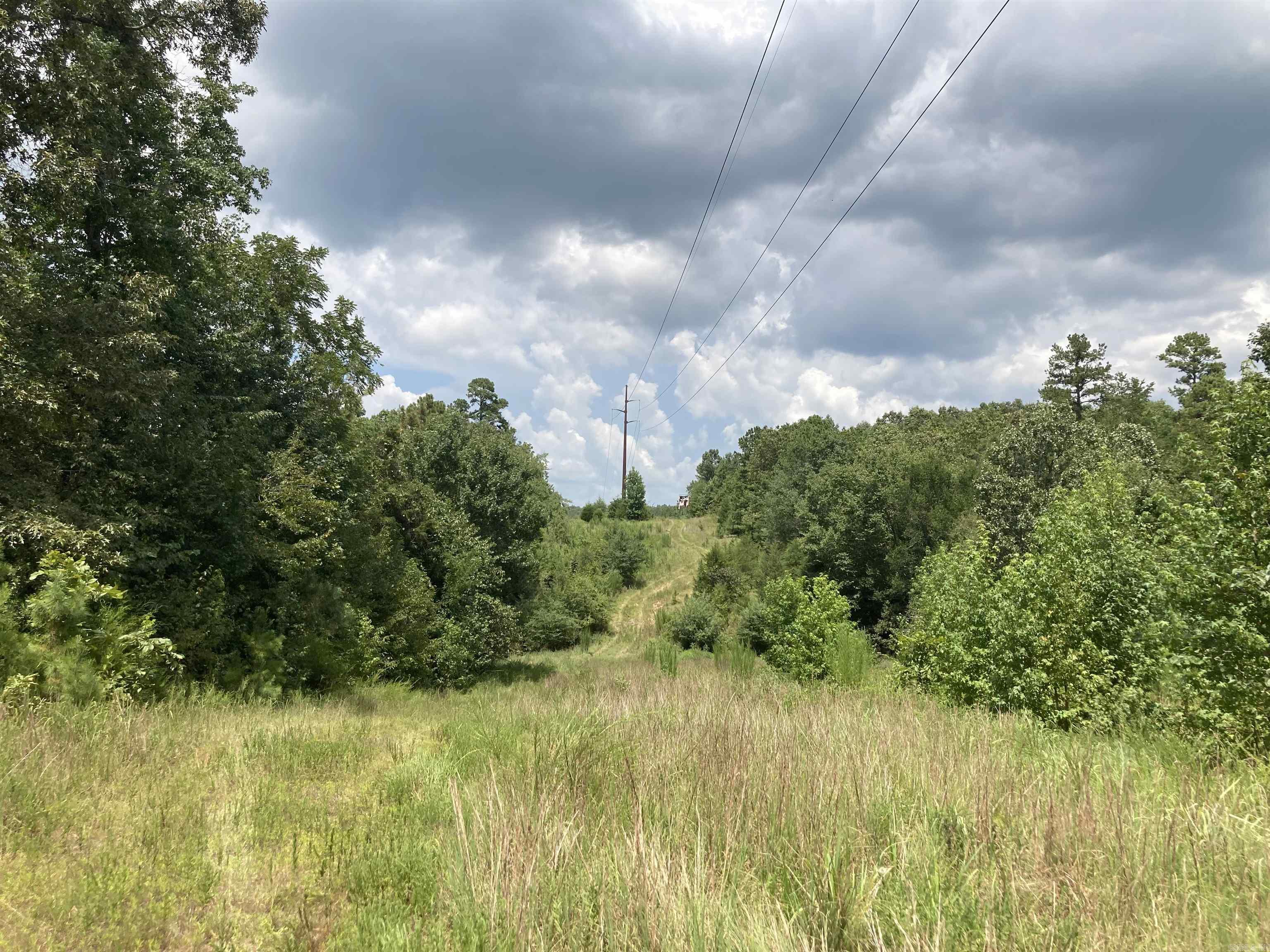 RARELY ARE WE ABLE TO OFFER SUCH A LARGE (BUT NOT TOO LARGE) ACREAGE these days.  AND BUFFALO CREEK RUNS THROUGH IT!  DEER HUNTING PARADISE!!  Excellent opportunity for a large hunting club or family group or even an outfitter.  Timbered property with Buffalo Creek running through it, and has bluffs along the creek.  All wooded except for an extra large power line running north to south through the middle of the 80 acres.ine crisscrossing it.  With some clearing, it will have a many nice homesite possibilities.  Some woods roads are already through or at the boundarires.  One could ride an ATV onto county roads 23 or 21 or 31 and be on the Ouachita National Forest in less than 5 miles.  Also to the ATV trails.  Level land to large hills.
