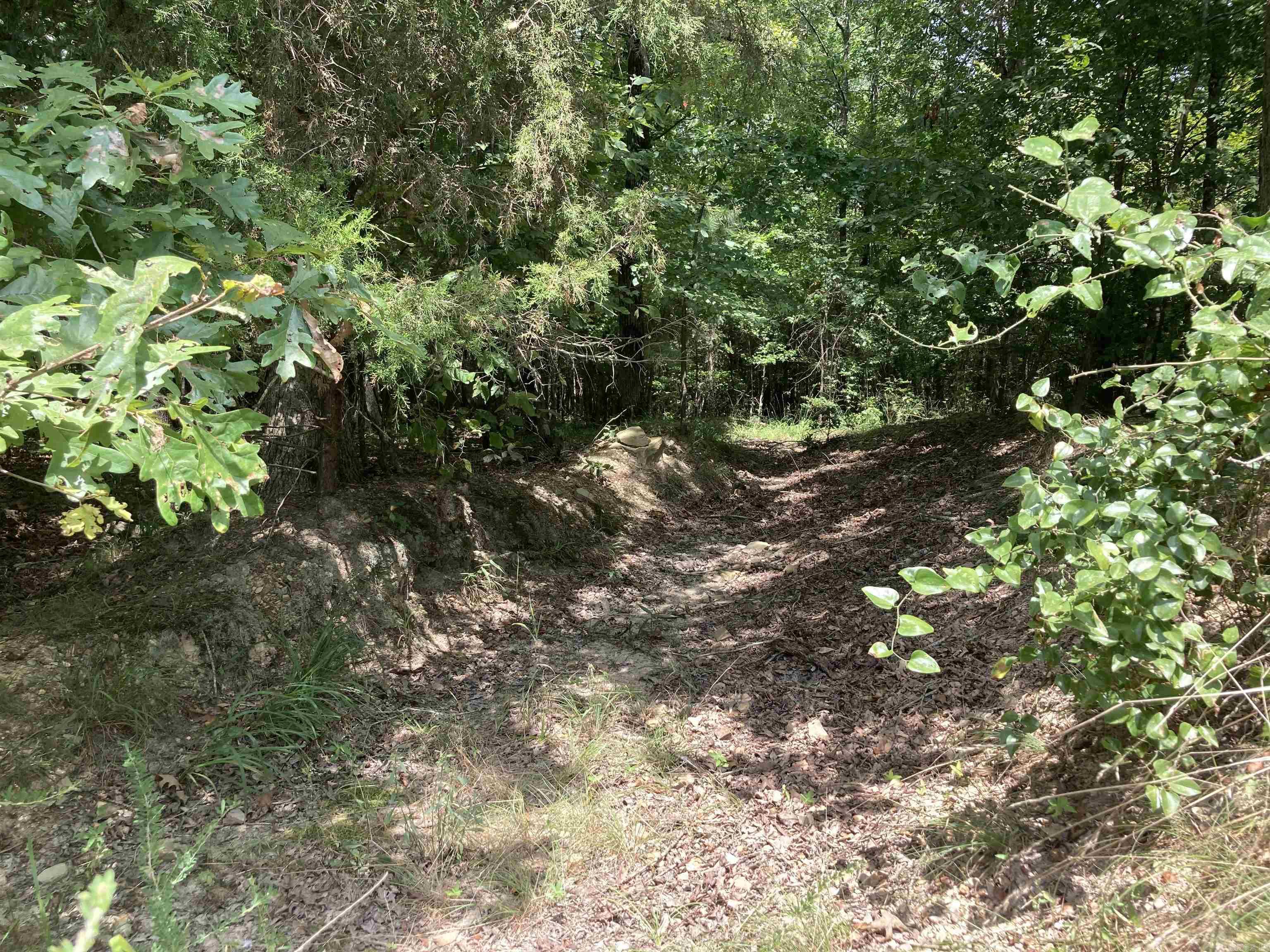 Cove Acres - Land