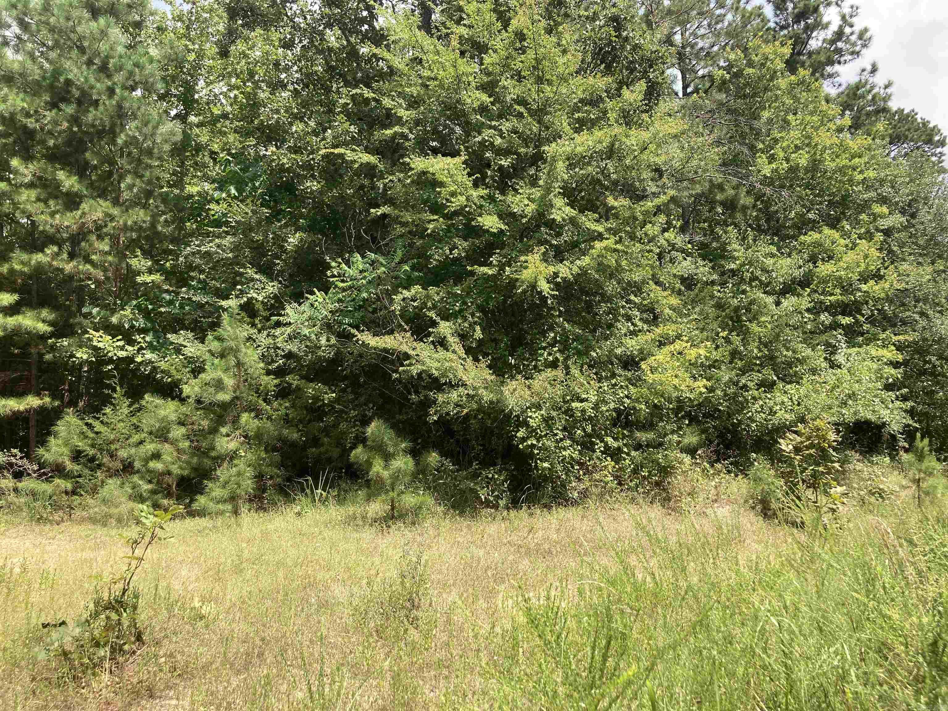 Cove Acres - Land