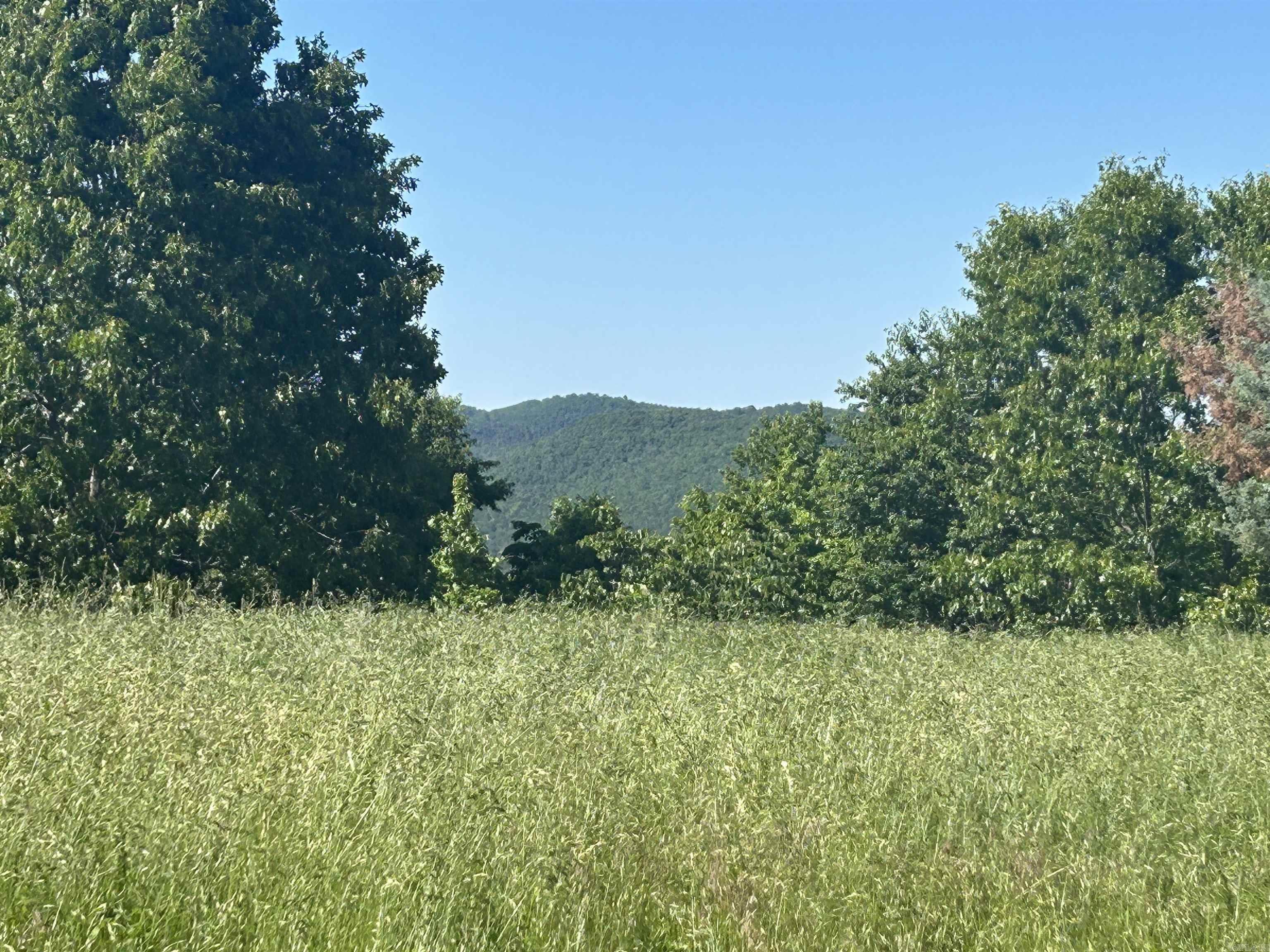 The gorgeous views from this beautiful mountaintop land can be yours! Enjoy sunrises and sunsets while watching wild turkeys and deer. Listen to the sounds of coyotes, owls, whippoorwill, and an occasional bobcat while marveling at the sight of the stars in the sky . This tract with its mix of open and wooded areas may be attractive to wildlife, but it is still convenient for you, being just a few minutes from both the Stone County Courthouse Square and the White River. Enjoy all the activities that Mountain View has to offer and the recreation available on the White River and Sylamore Creek, and in the Ozark National Forest. With electric and water at the street and just a few simple restrictions to protect your investment (minimum 1000 sq. ft., no manufactured homes) you can build the mountain getaway that you have always dreamed of.