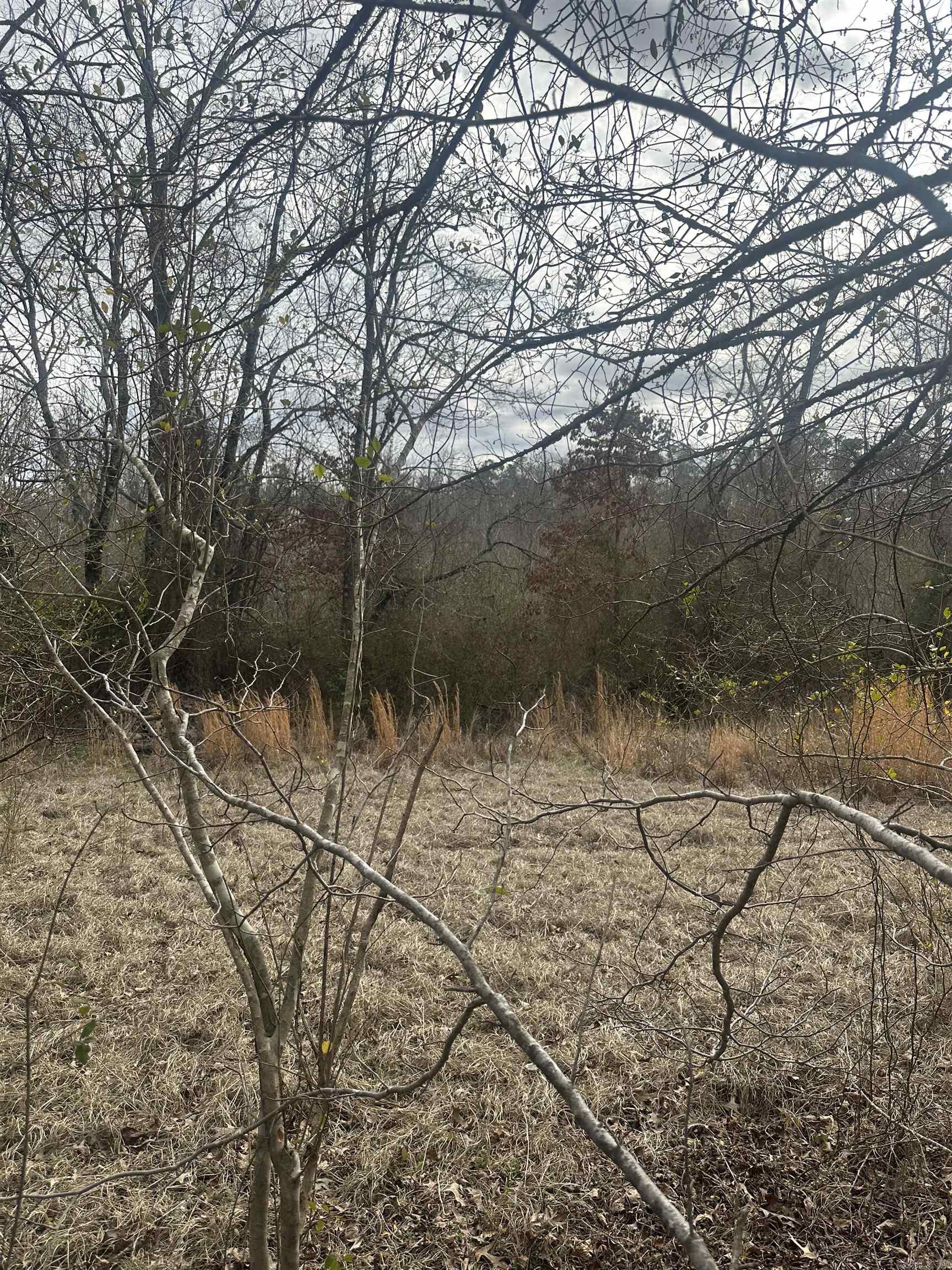 Tucked away yet conveniently close to everything, this beautiful 19-acre wooded tract offers the perfect blend of privacy and accessibility. Located just a short drive from Hot Springs Village amenities and nearby Walmart, the property provides a peaceful setting without feeling remote. A creek adds to the natural appeal of the land, and wildlife abounds—particularly deer, making this an ideal spot for nature lovers.  The property has road frontage along Walnut Valley Road, where the terrain is mostly level. As you move toward the back, the land rises, creating a variety of elevations and several excellent building site options to fit your vision. Electric and water are available at the property line for easy connection.   **For buyers seeking additional acreage, an adjoining 19-acre parcel is also available.**  This is a great opportunity to create your own private retreat. Survey attached. Agents—see remarks.