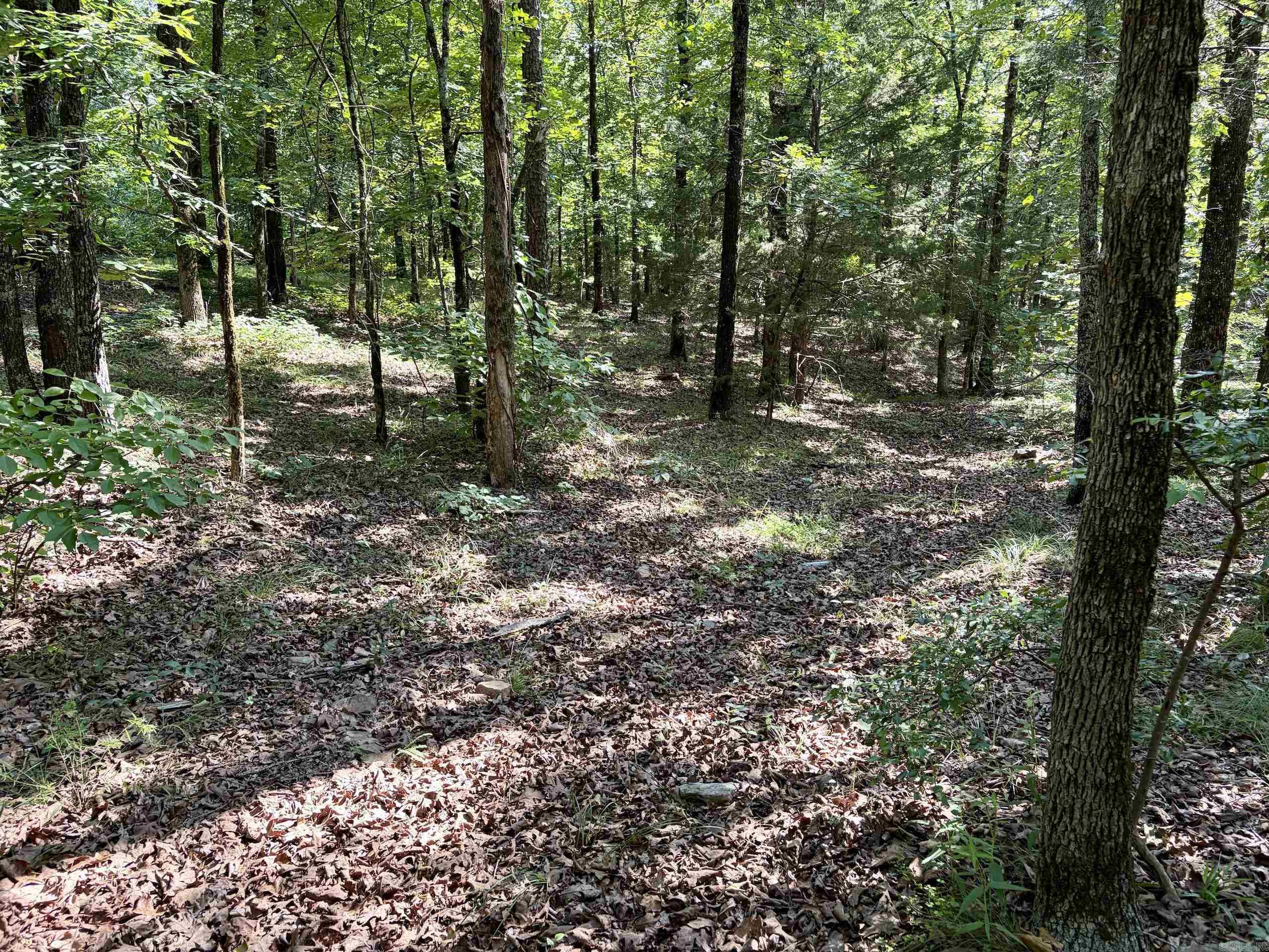 Not in Subdivision - Land