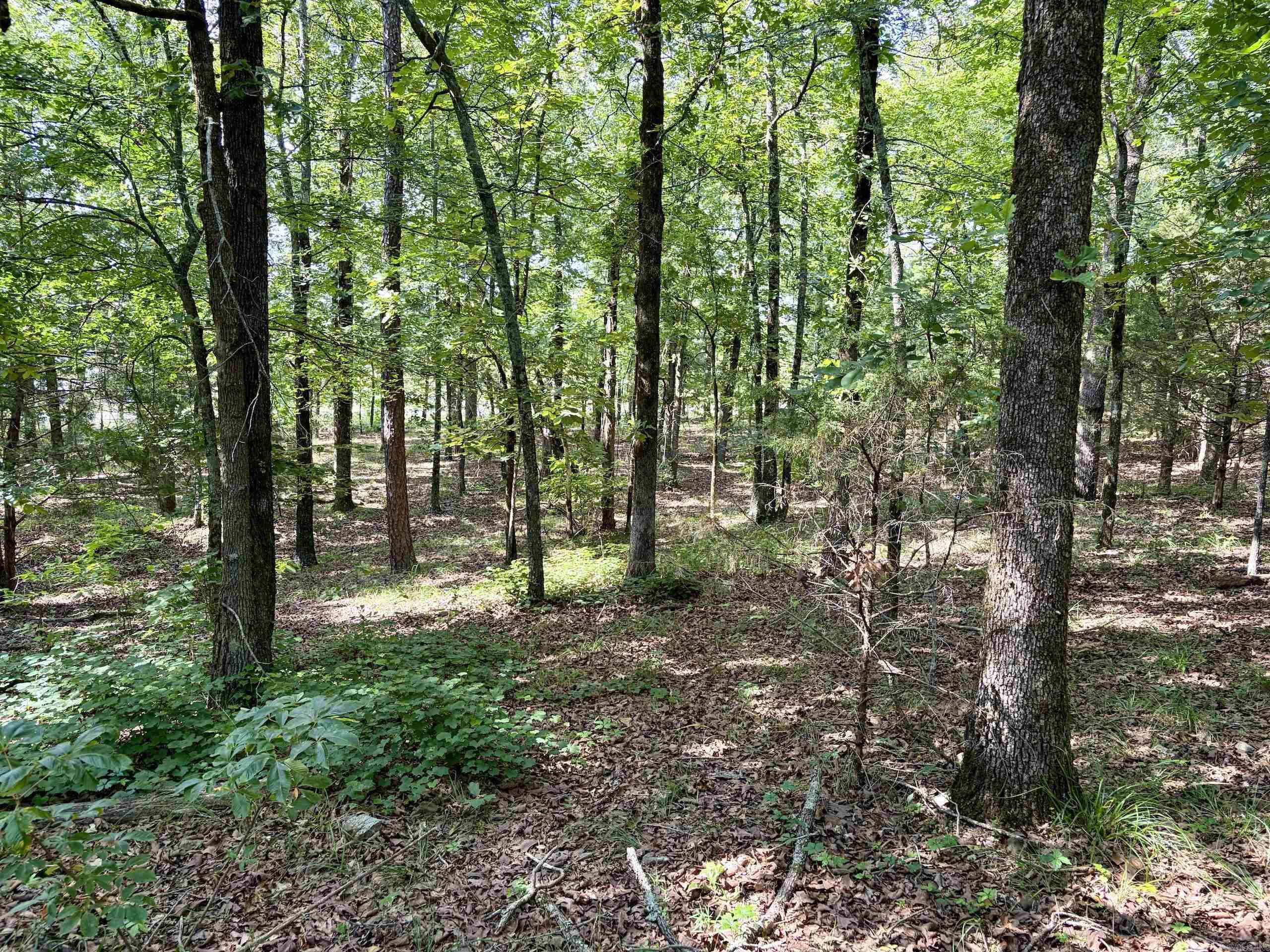 Not in Subdivision - Land