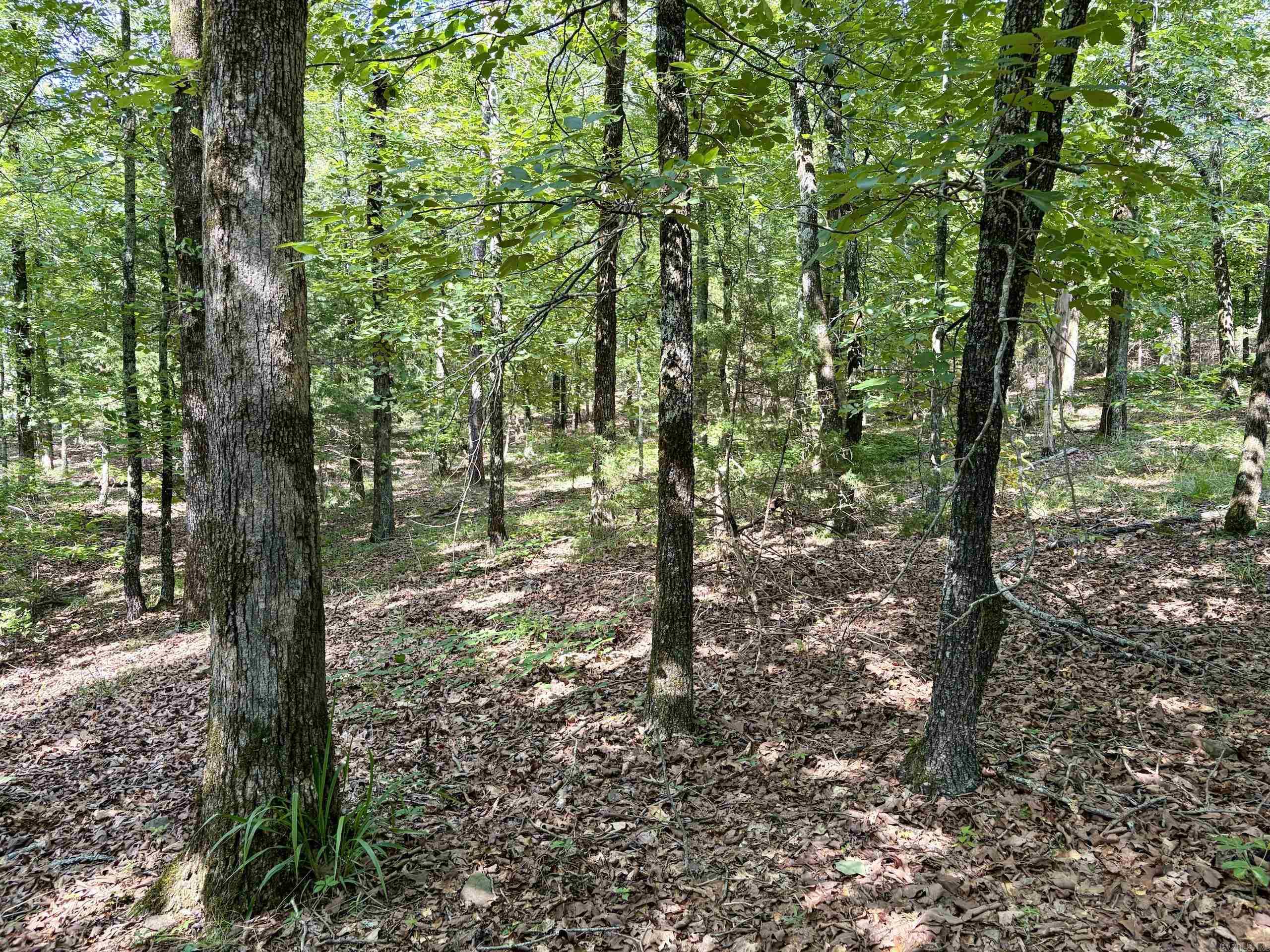 Not in Subdivision - Land