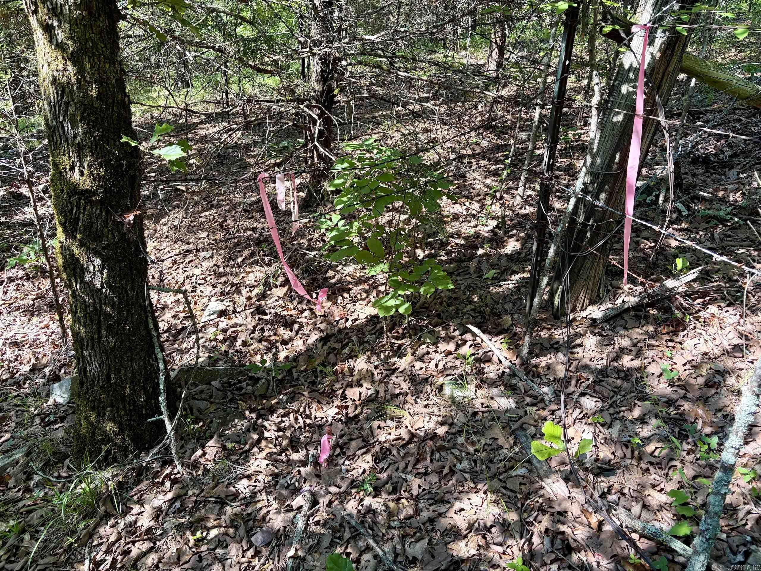 Not in Subdivision - Land